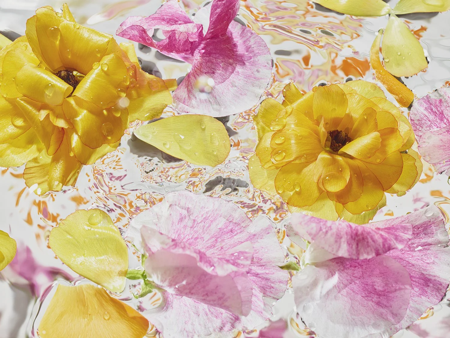 christurner-Petal-water-1.jpg
