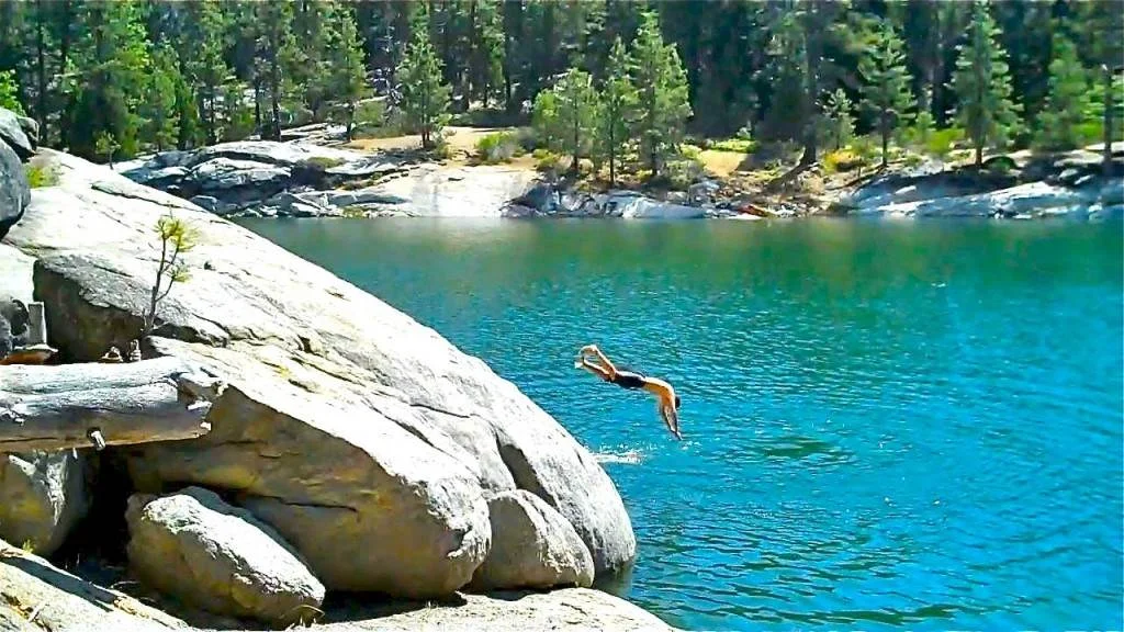  Beautiful Forest Setting &amp; Lake At Your Doorstep 