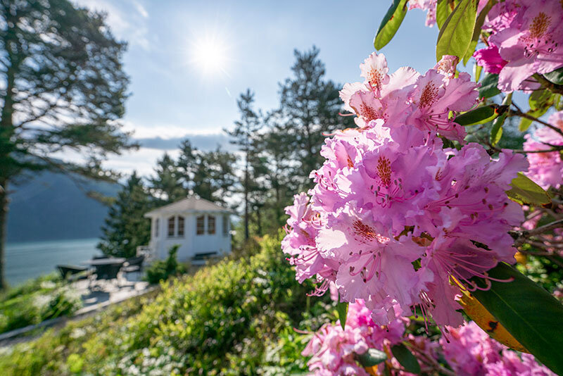 Nyt fred og ro i hagen på Dragsvik Hotell