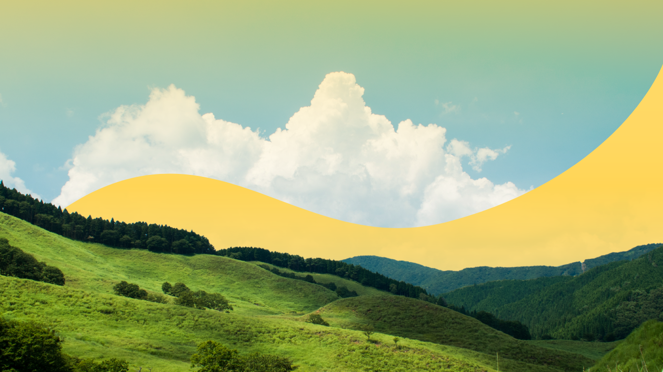 Spotlight Newsletter (3).png