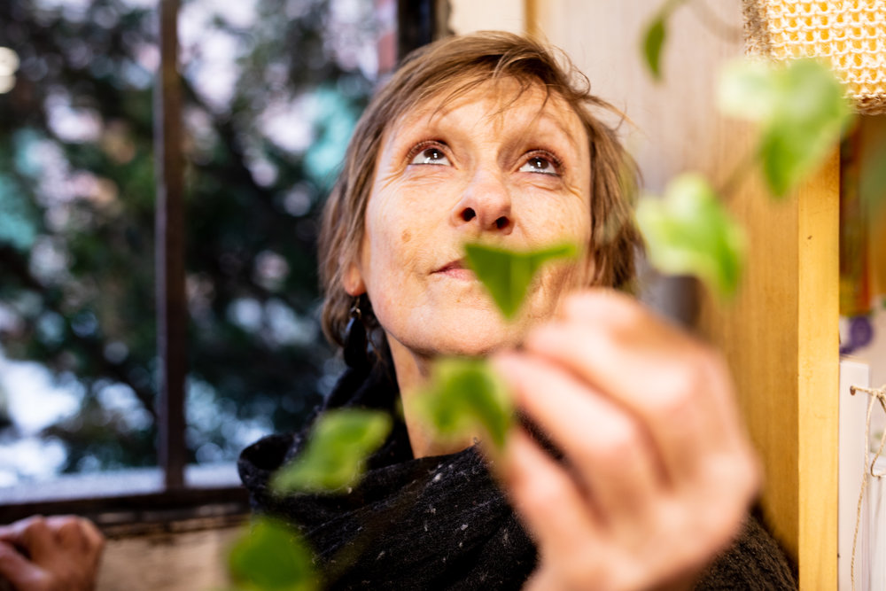 Lutje Van Boxelaer