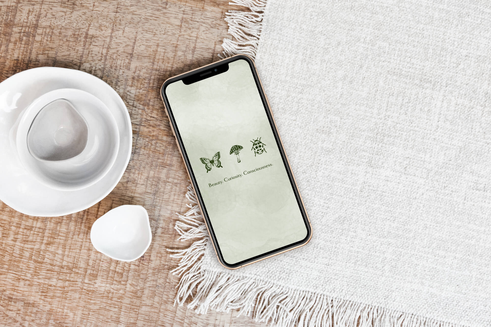 Banner—Portfolio—09.jpg