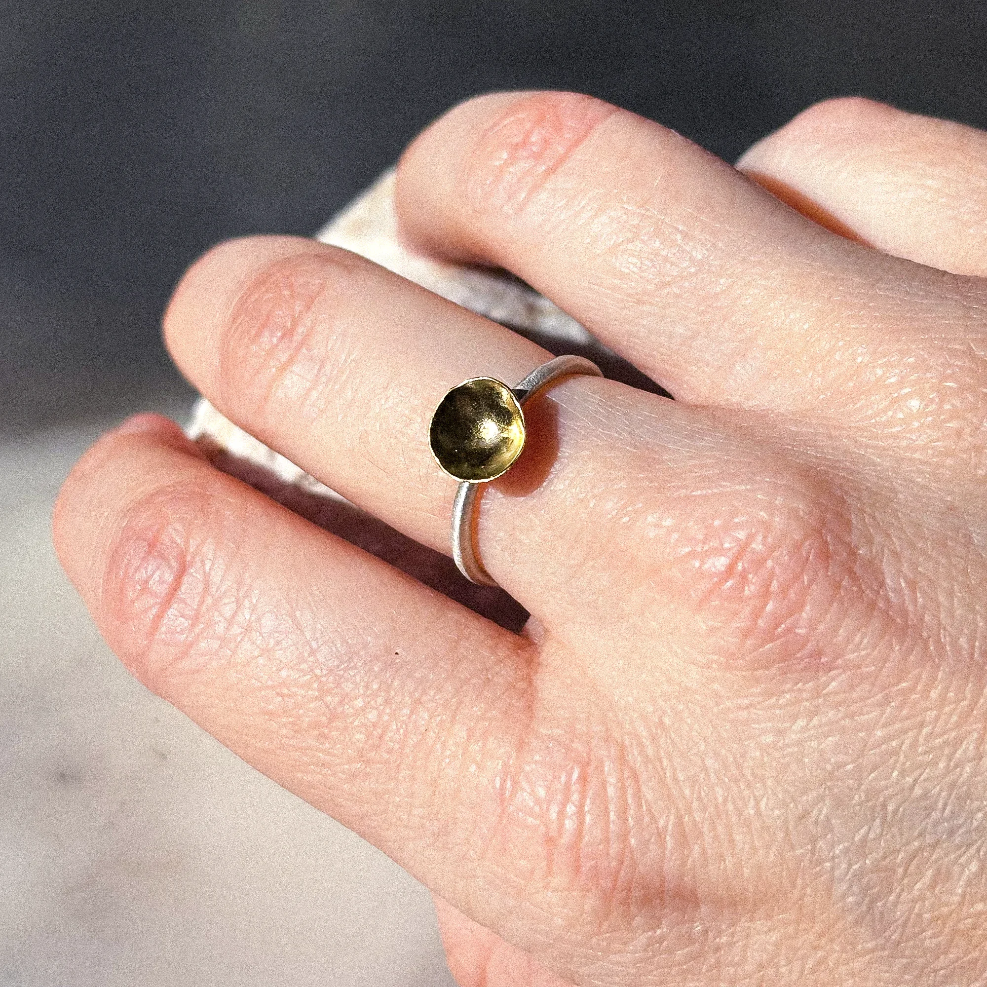 heinrich_Ring Gold meets Silver_image0.webp