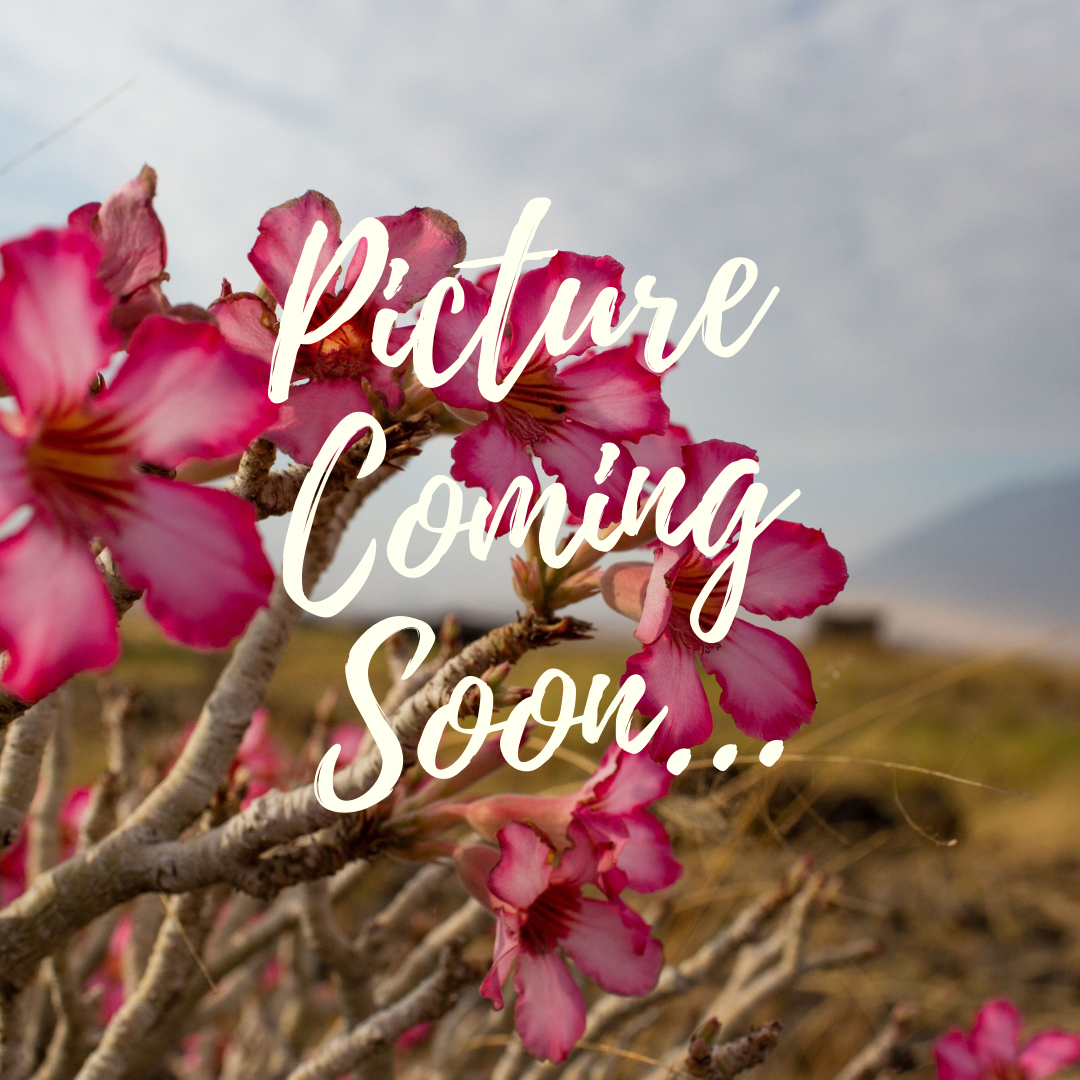 Copy of New Website Coming Soon....png