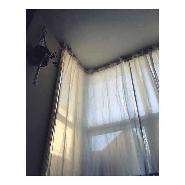#rosieloveslight