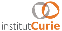 Copy of Logo Institut Curie