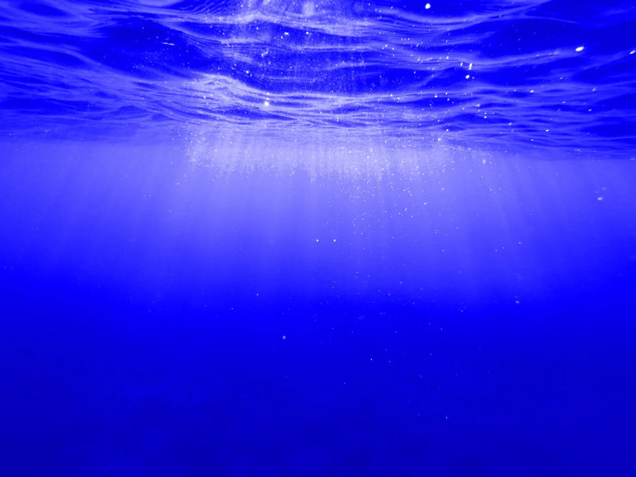 [Part 2/2] Using Distributed Learning for Deepfake Detection