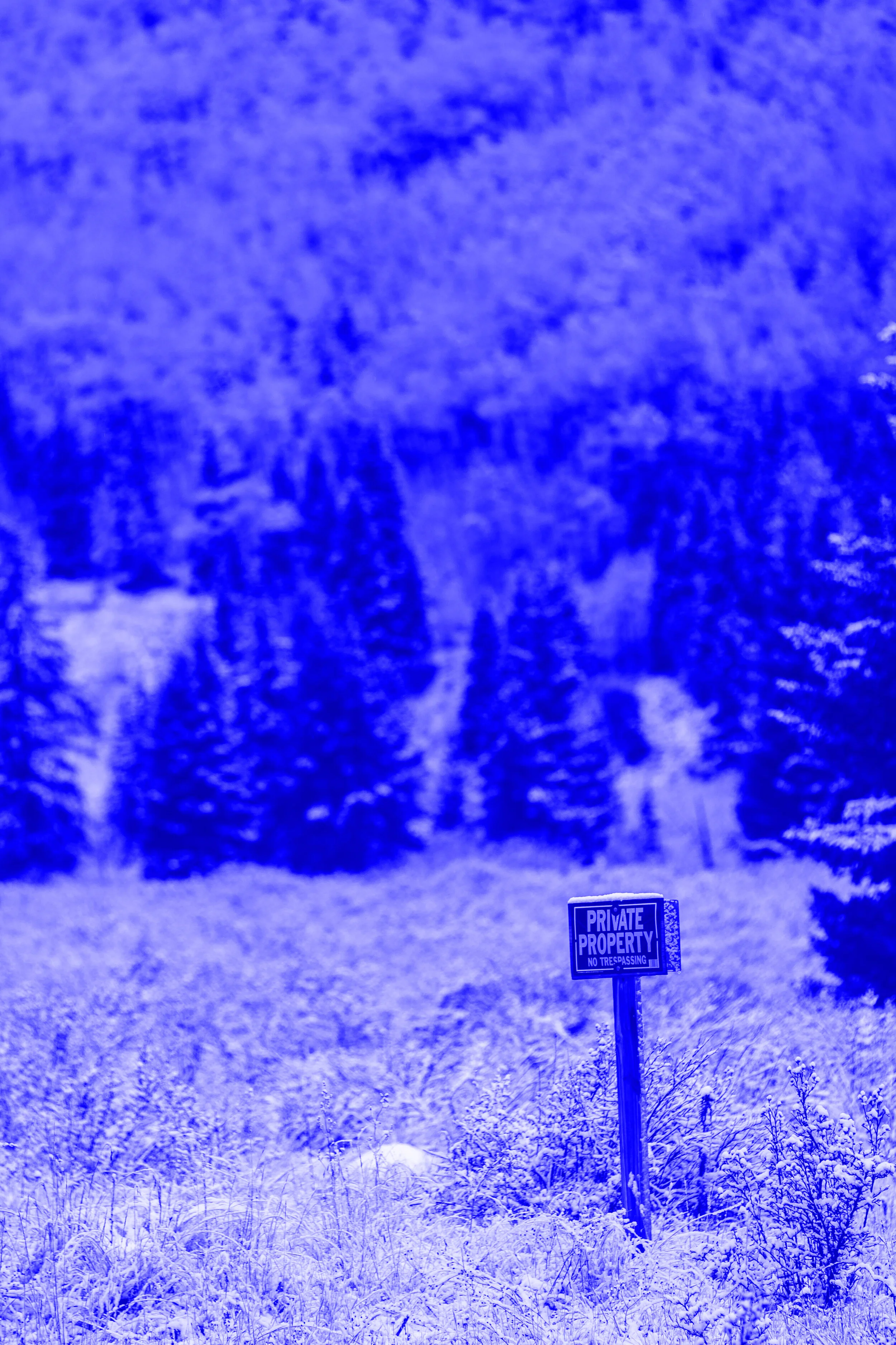 The nuts and bolts of Differential Privacy (Part 1/2)