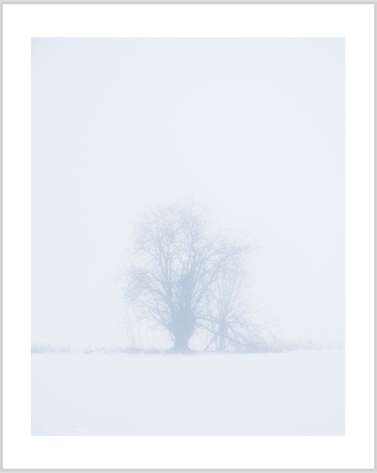 PRINT_Vinter_thumb.png