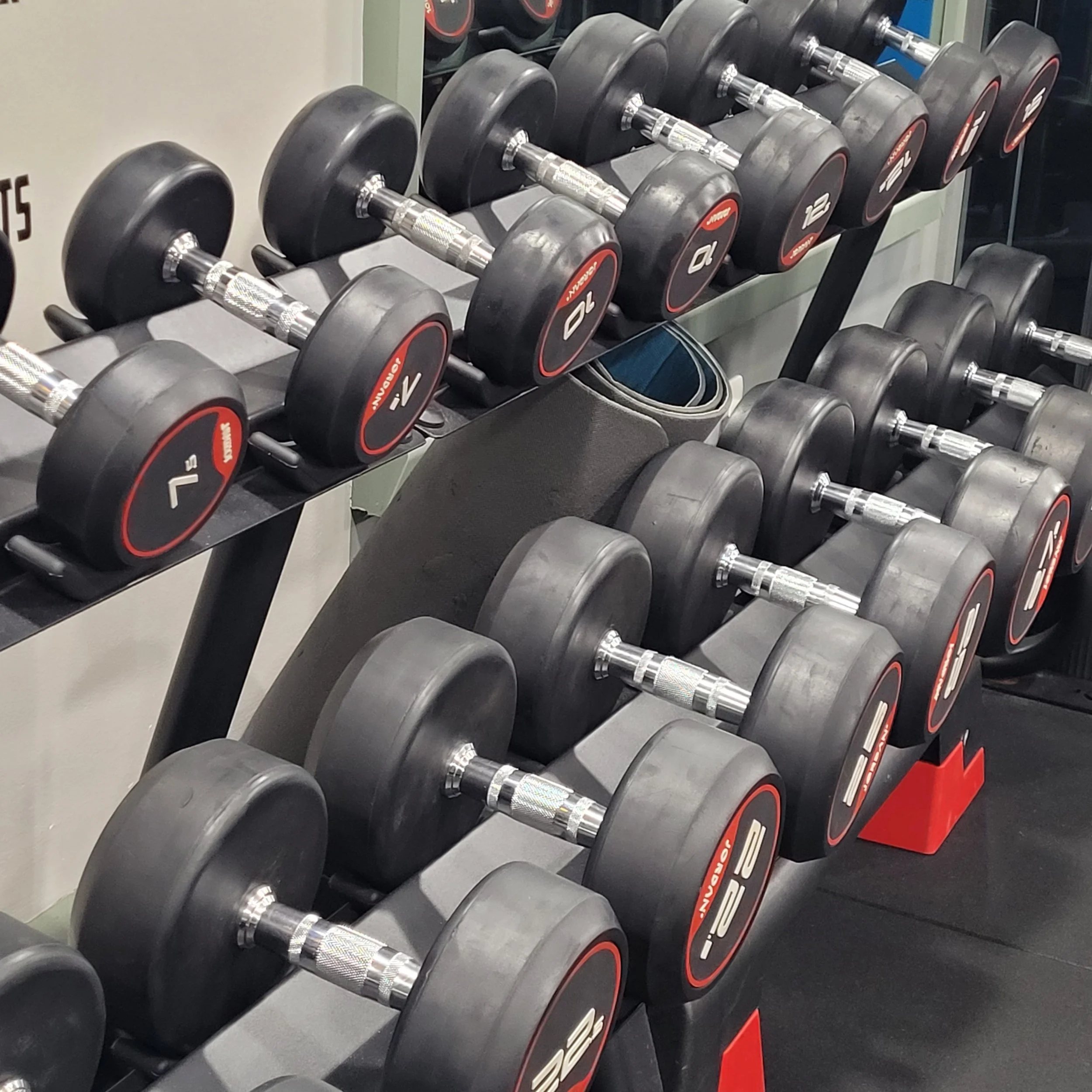Dumbbells &amp; Paintbrushes