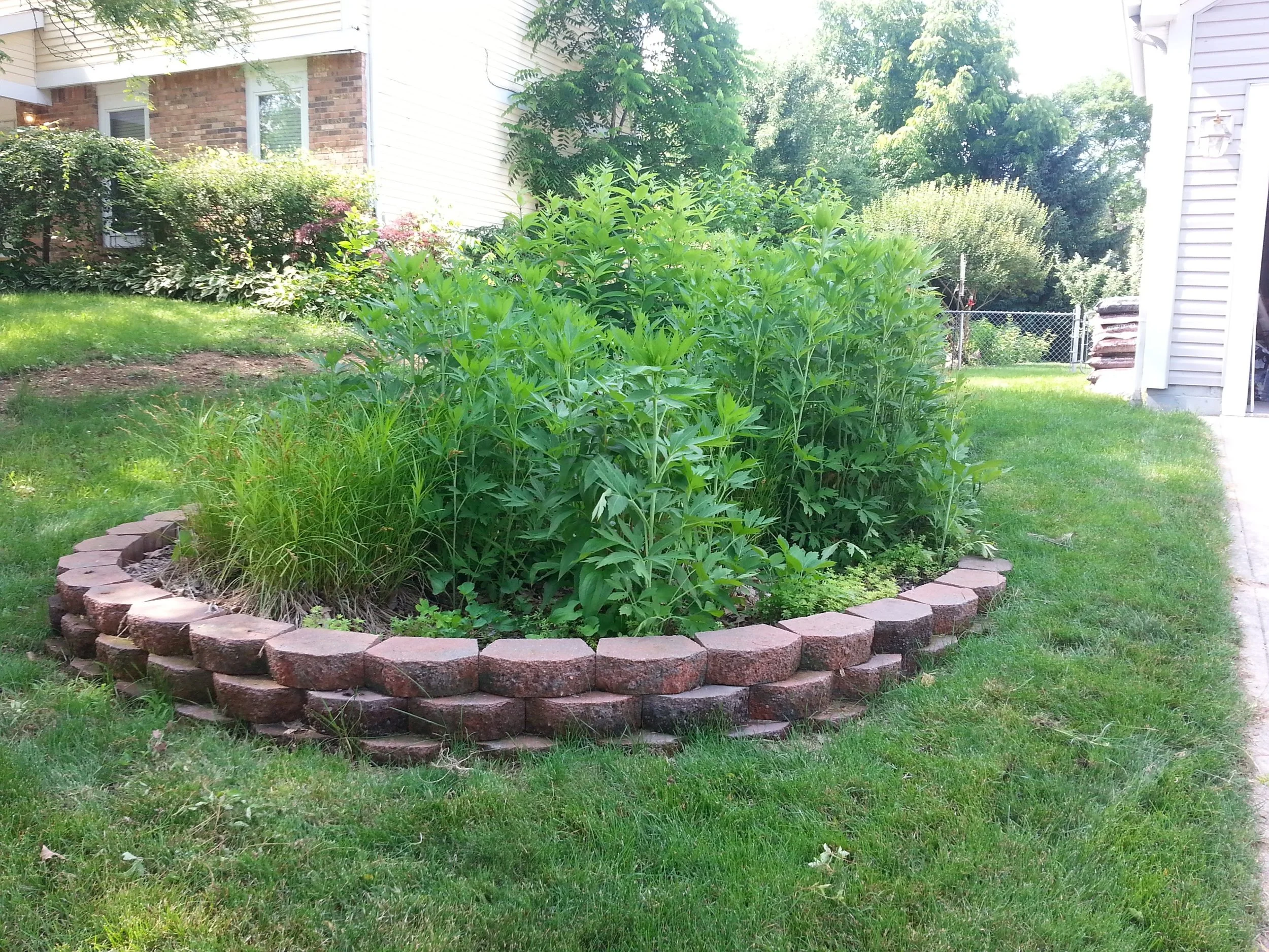 20150616_164340.jpg
