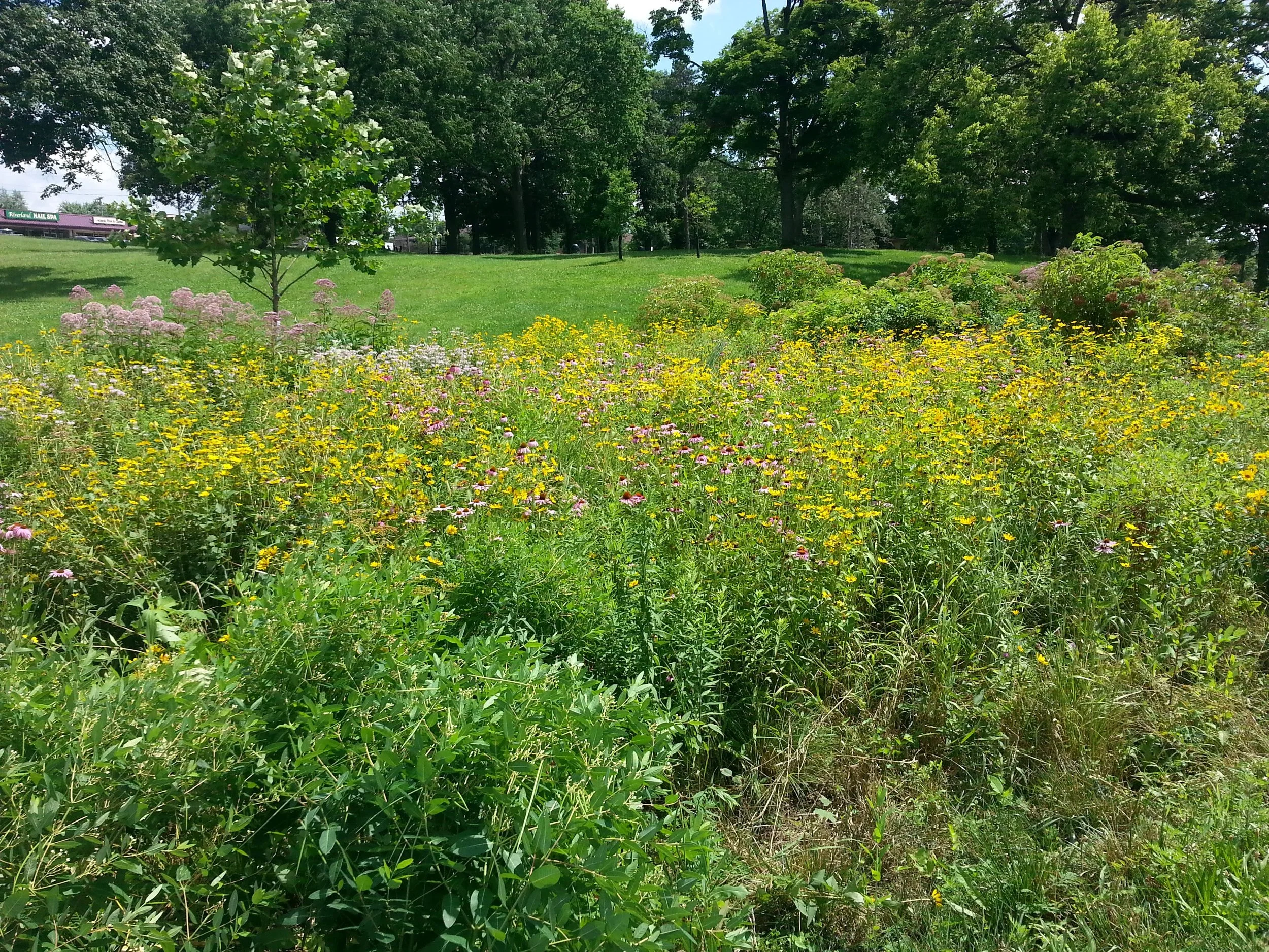 20150721_152642.jpg