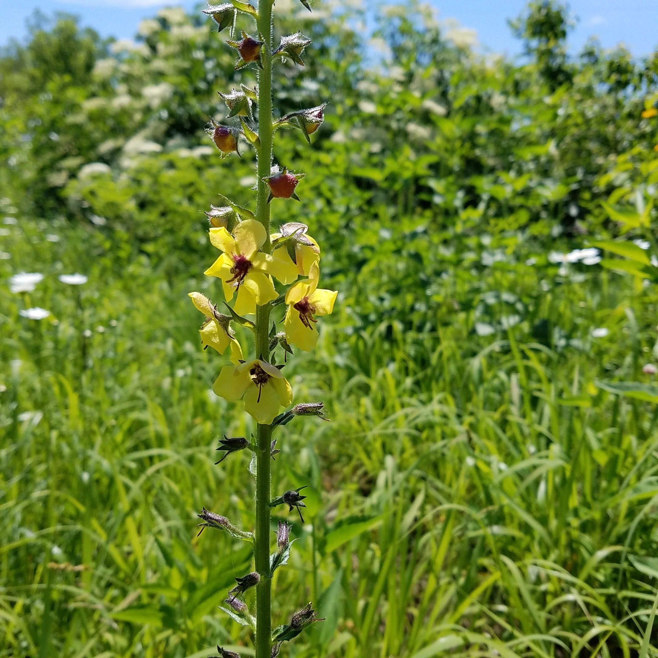 20160609_122325.jpg