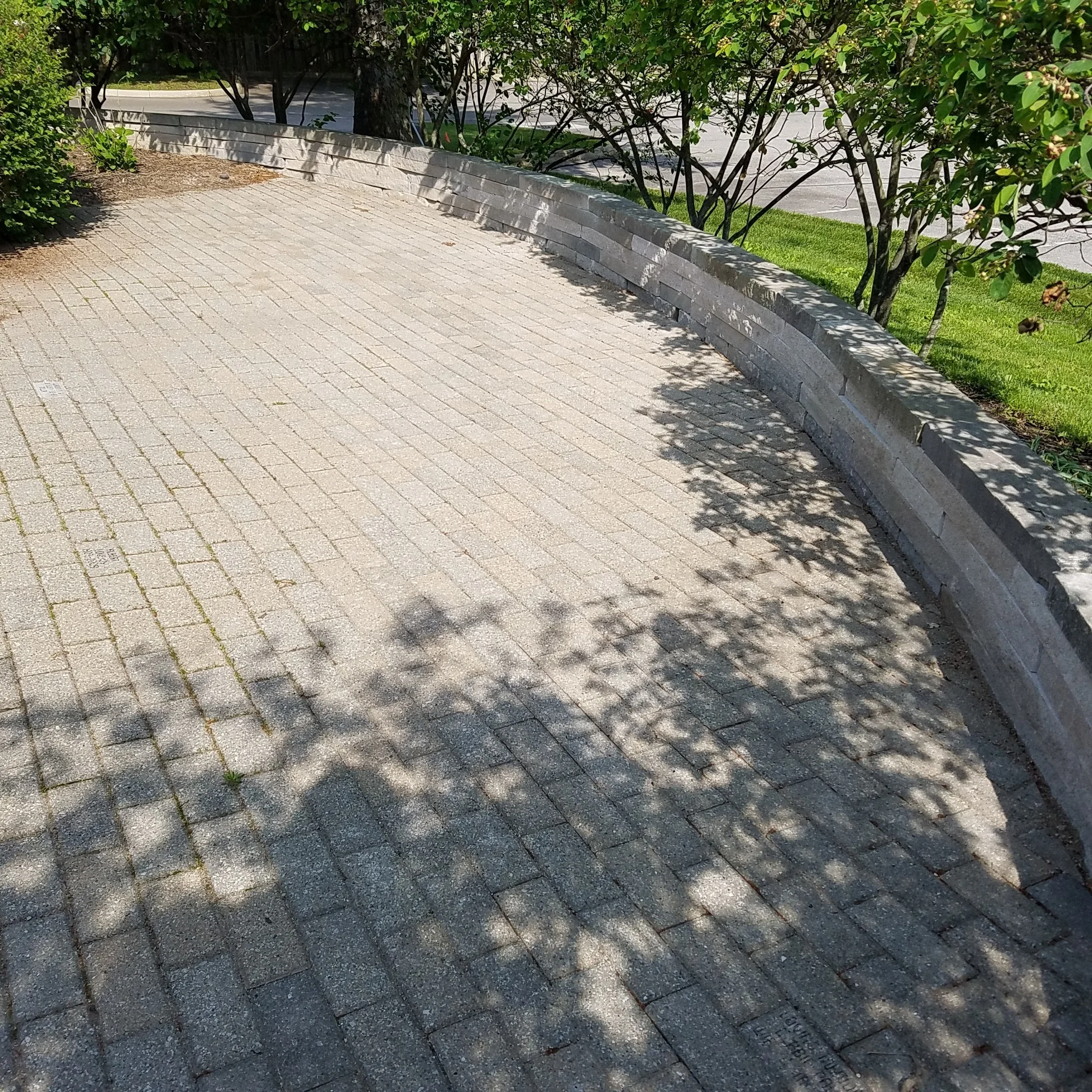 20160525_095720.jpg
