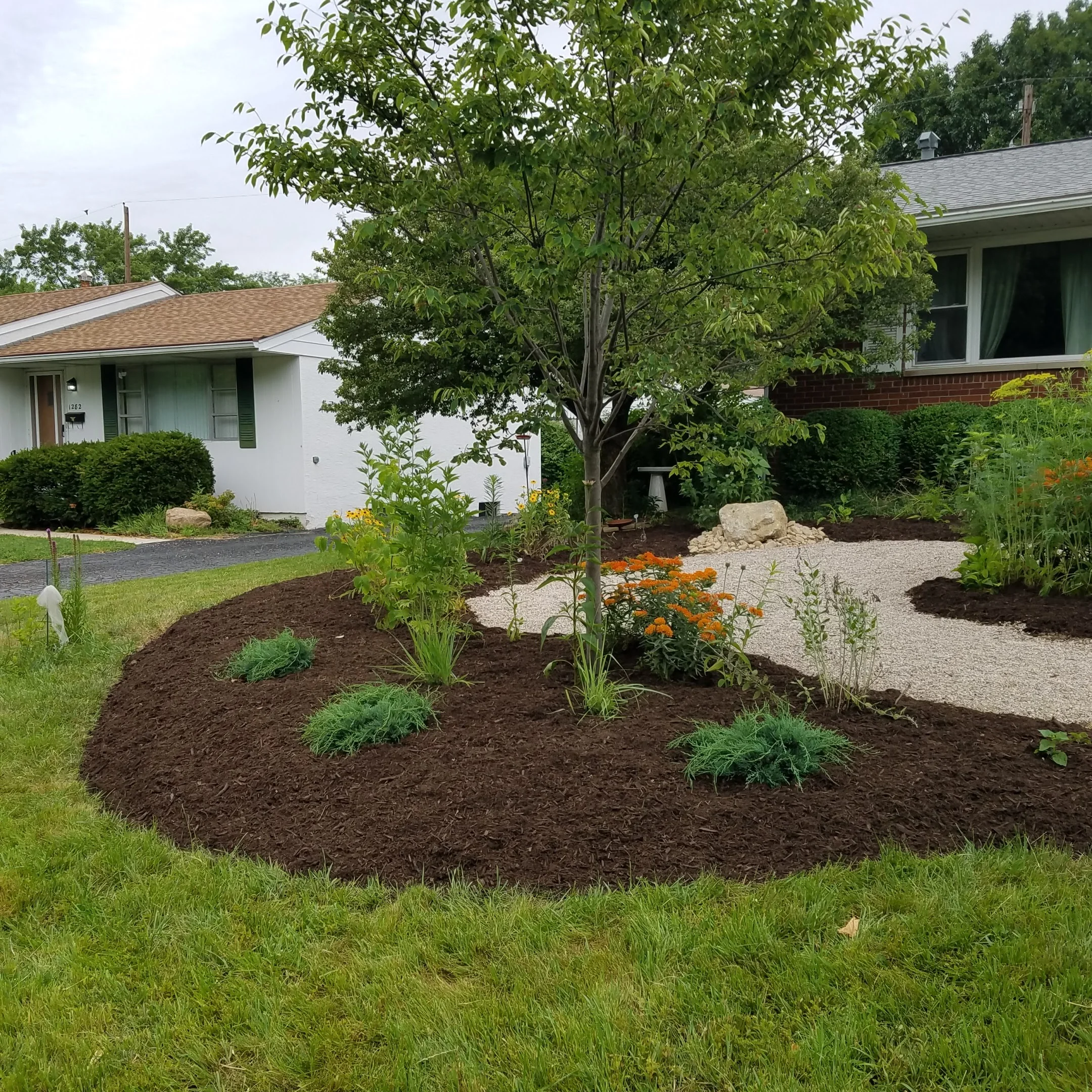 20160622_104349.jpg