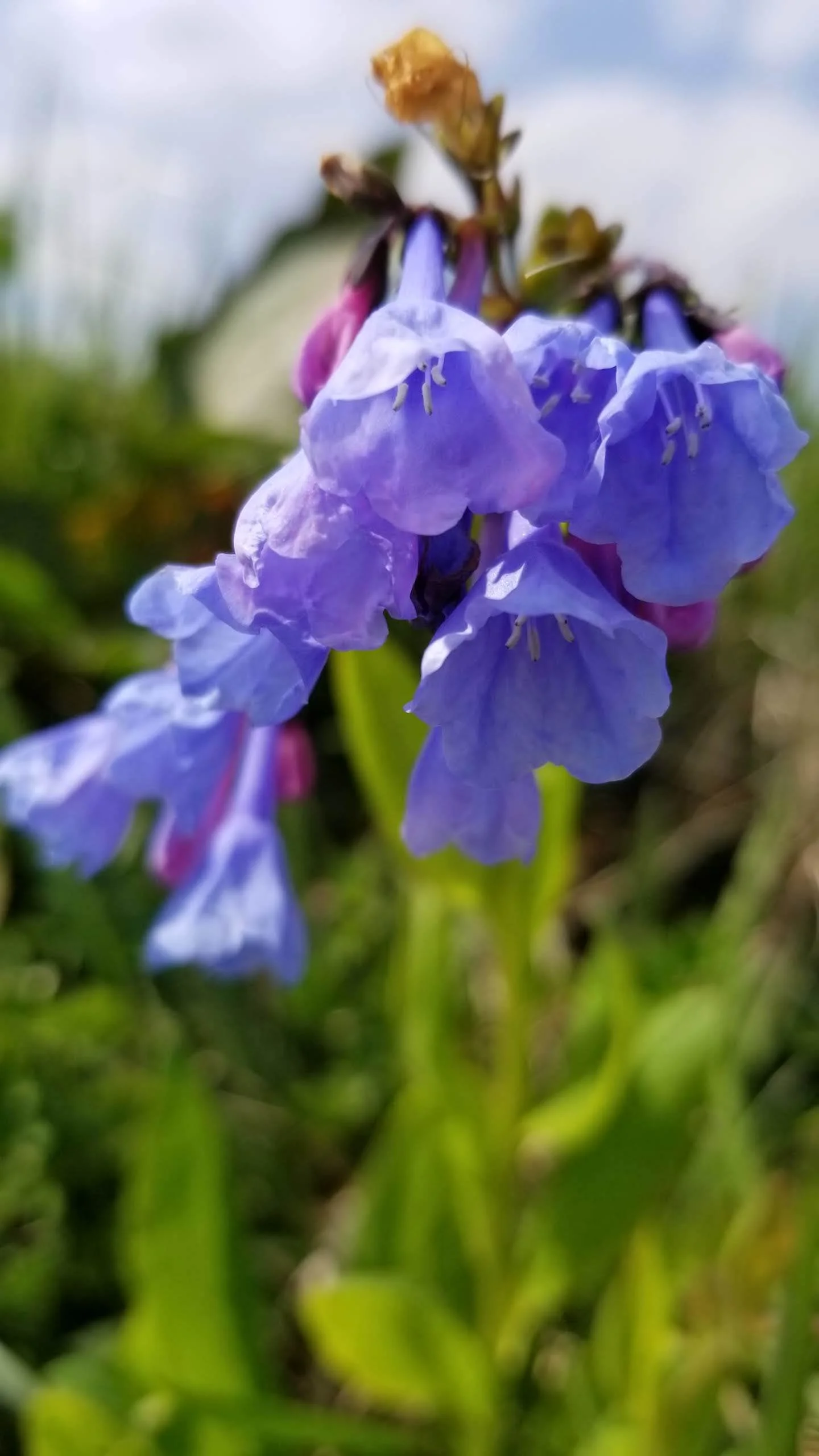20180426_153506.jpg