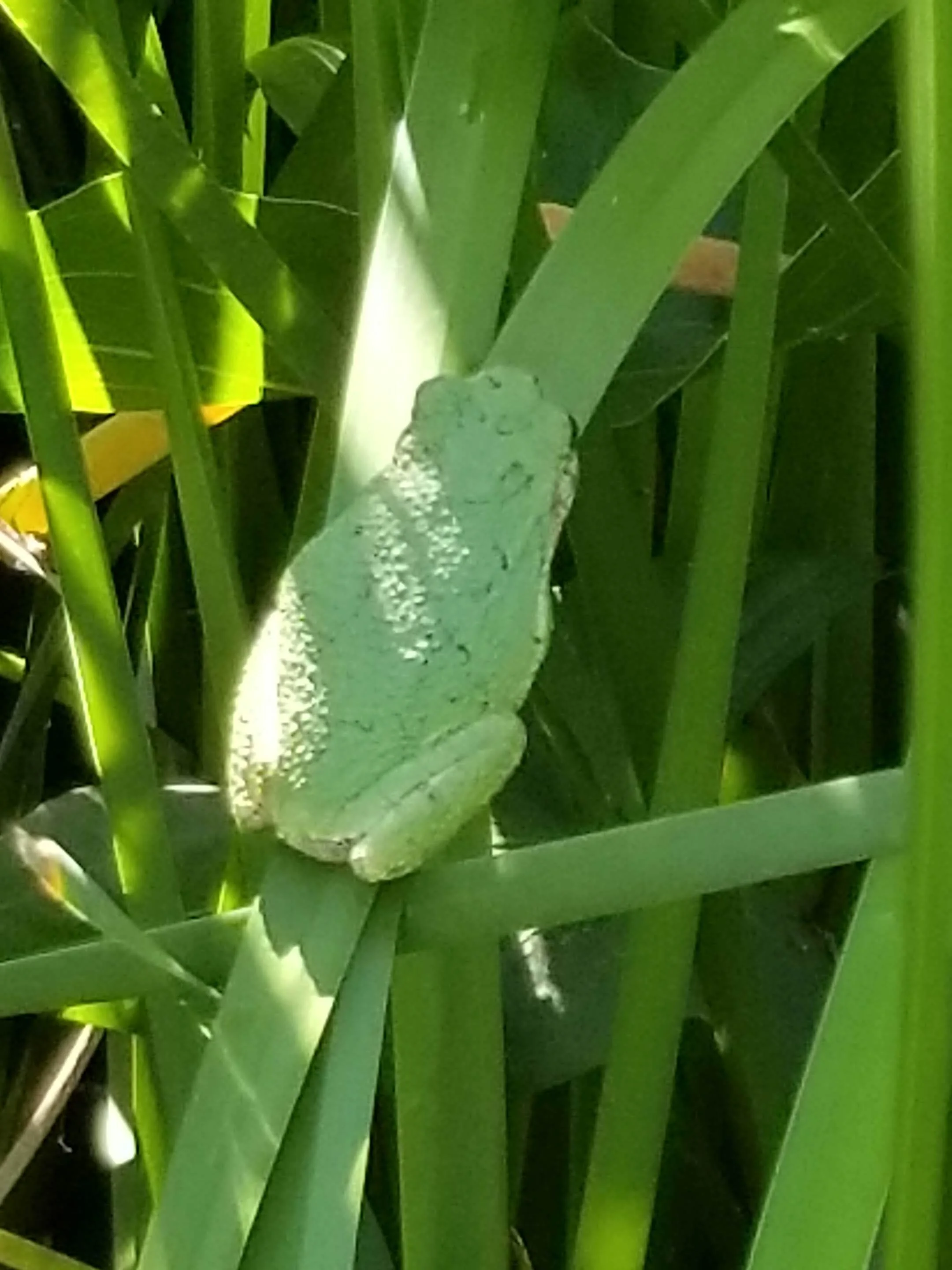 20180615_091803.jpg