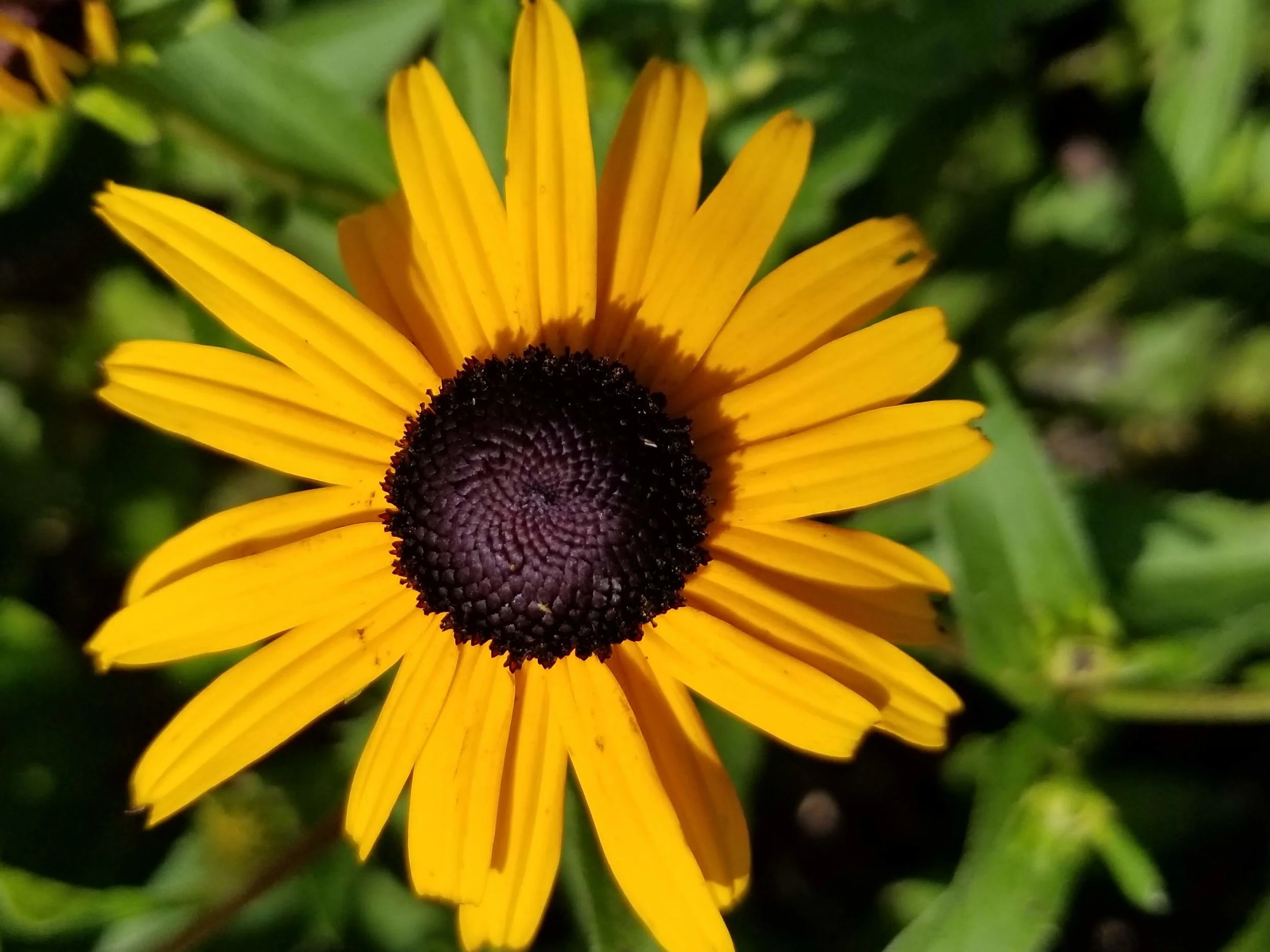 20180703_150036.jpg