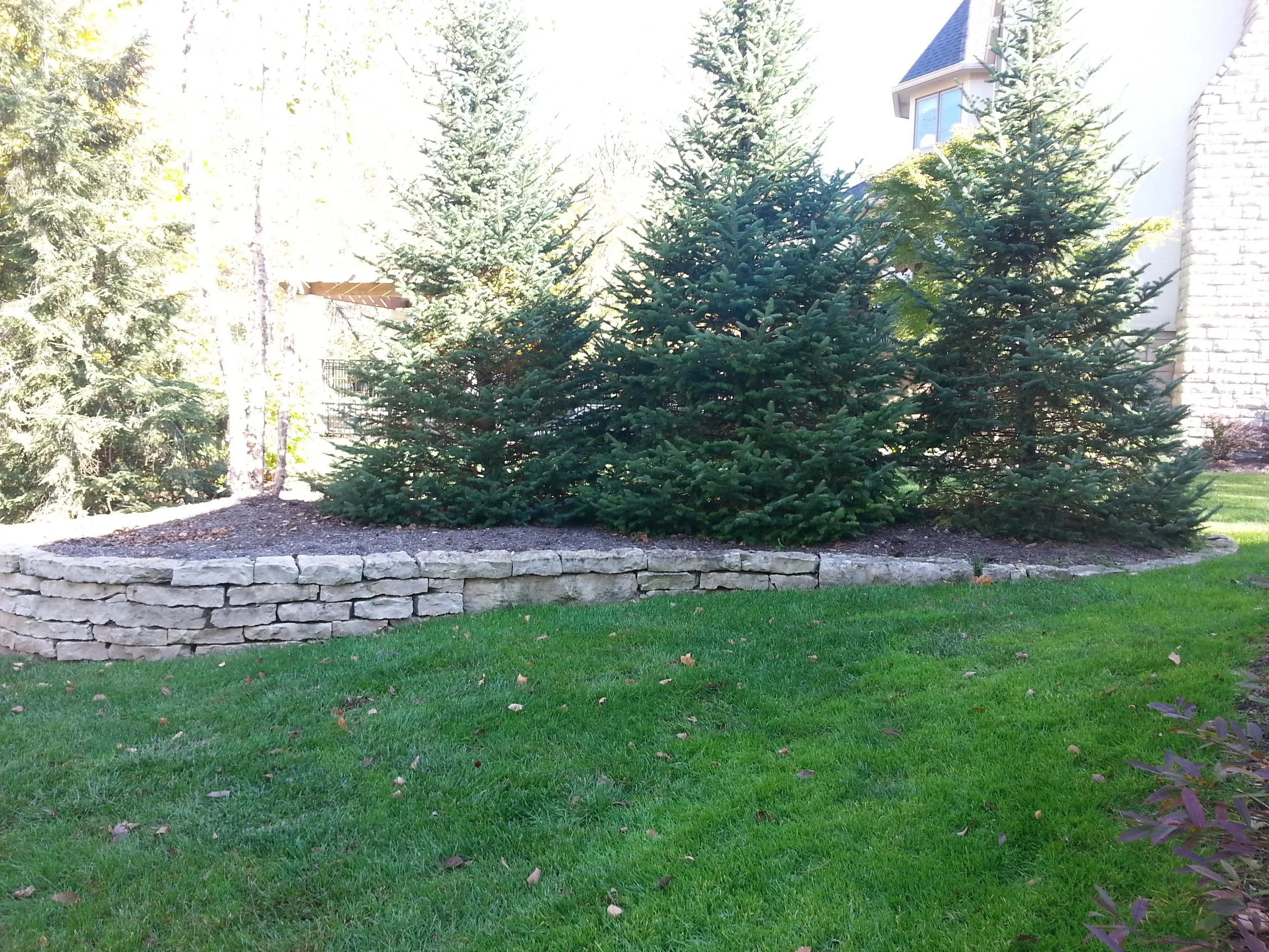 20151021_112925.jpg