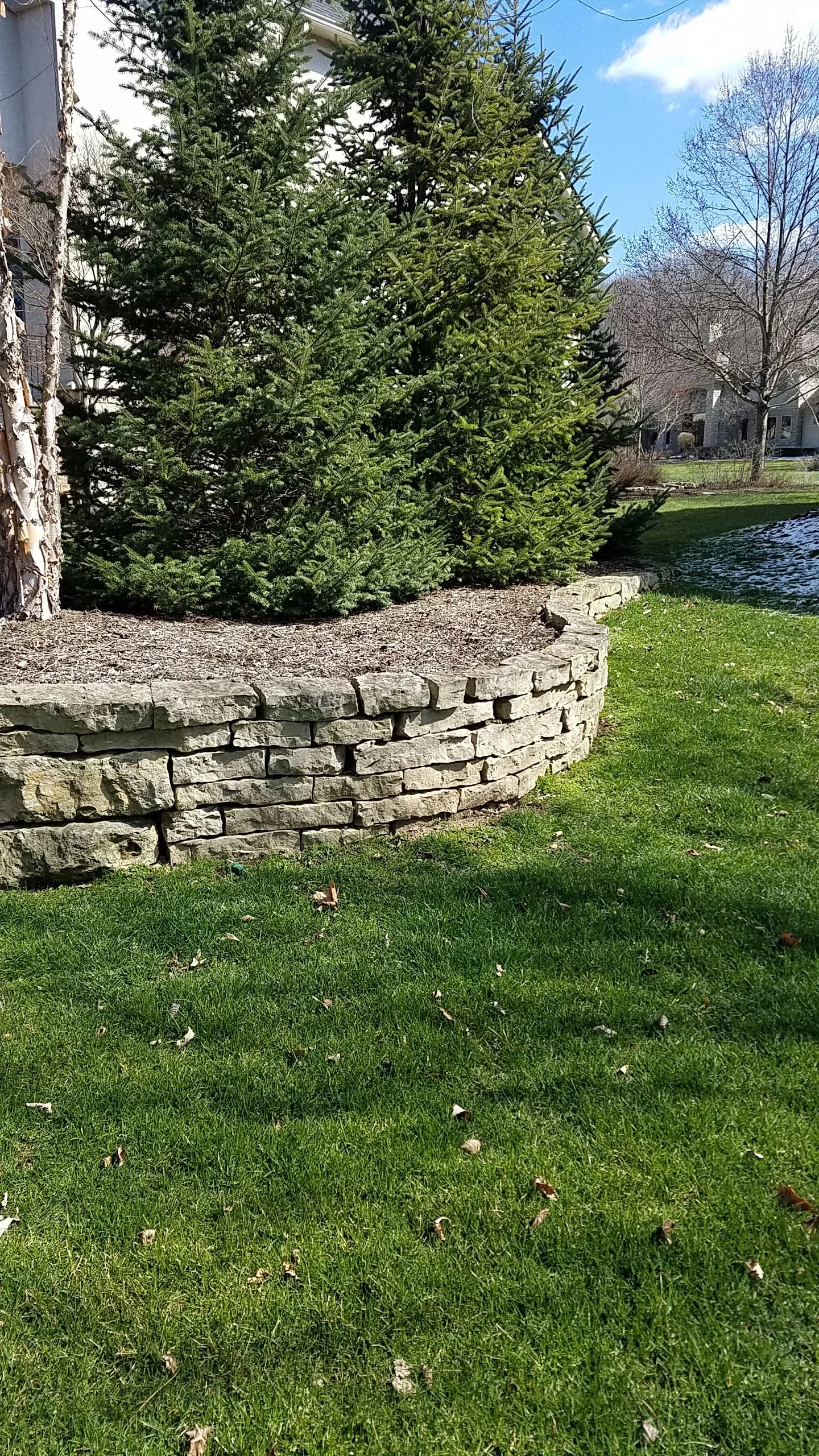 20170316_140925.jpg
