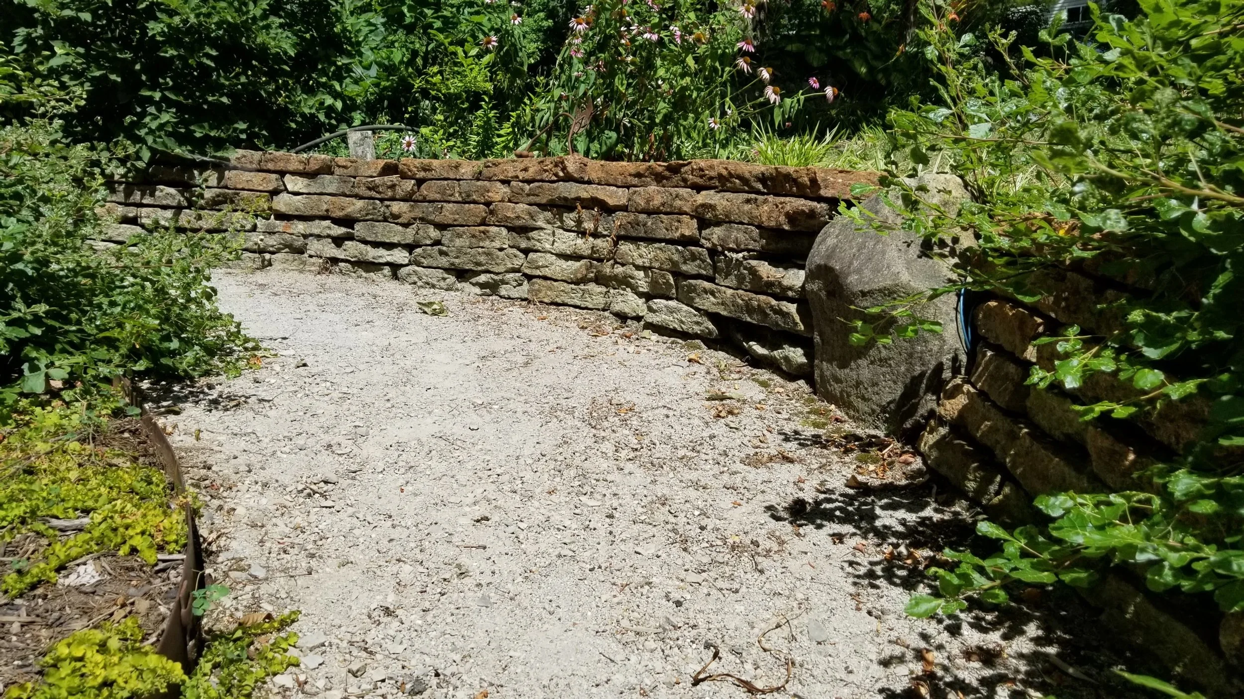 20180719_115617.jpg