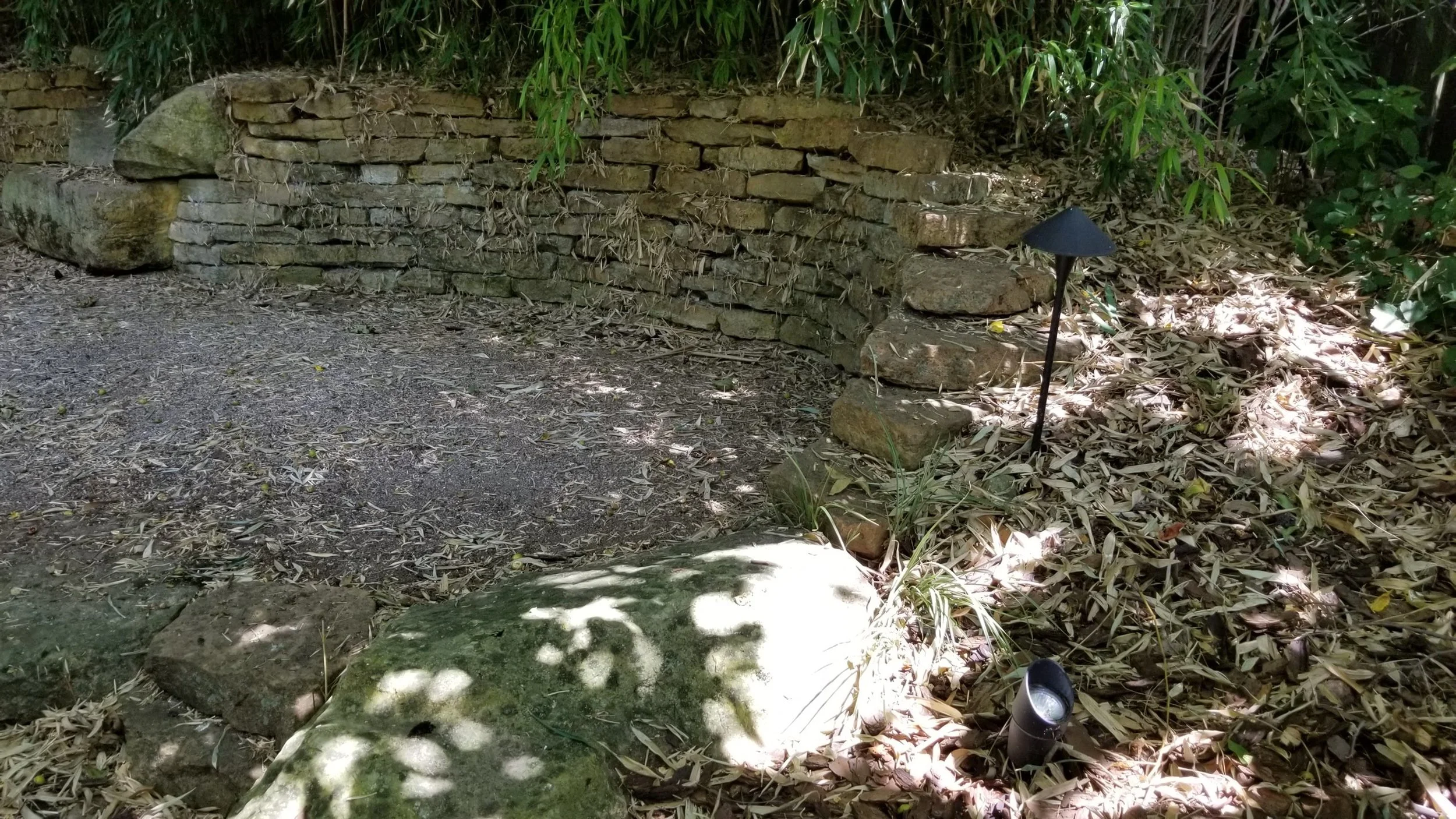 20180719_120016.jpg