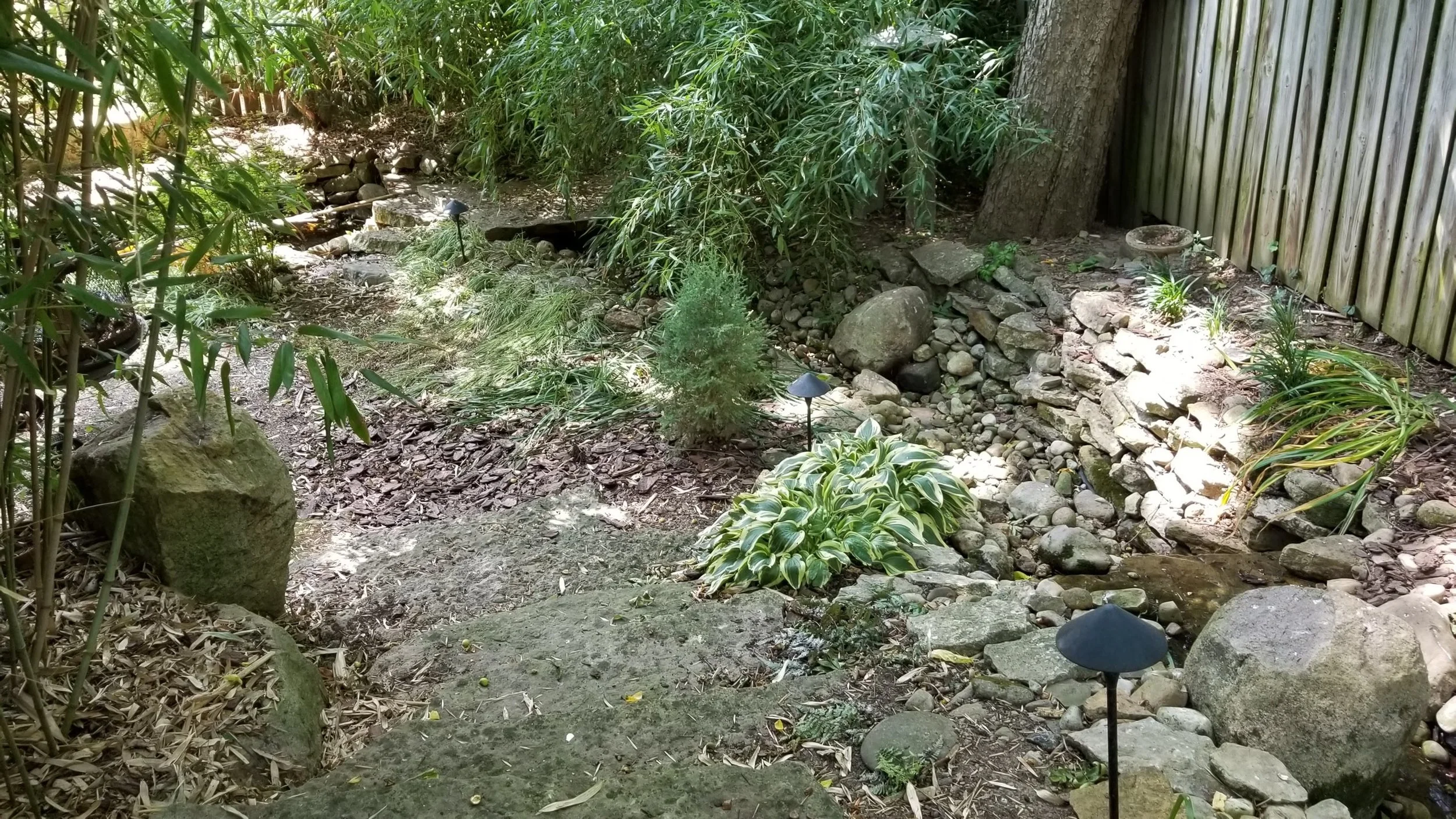 20180719_115730.jpg