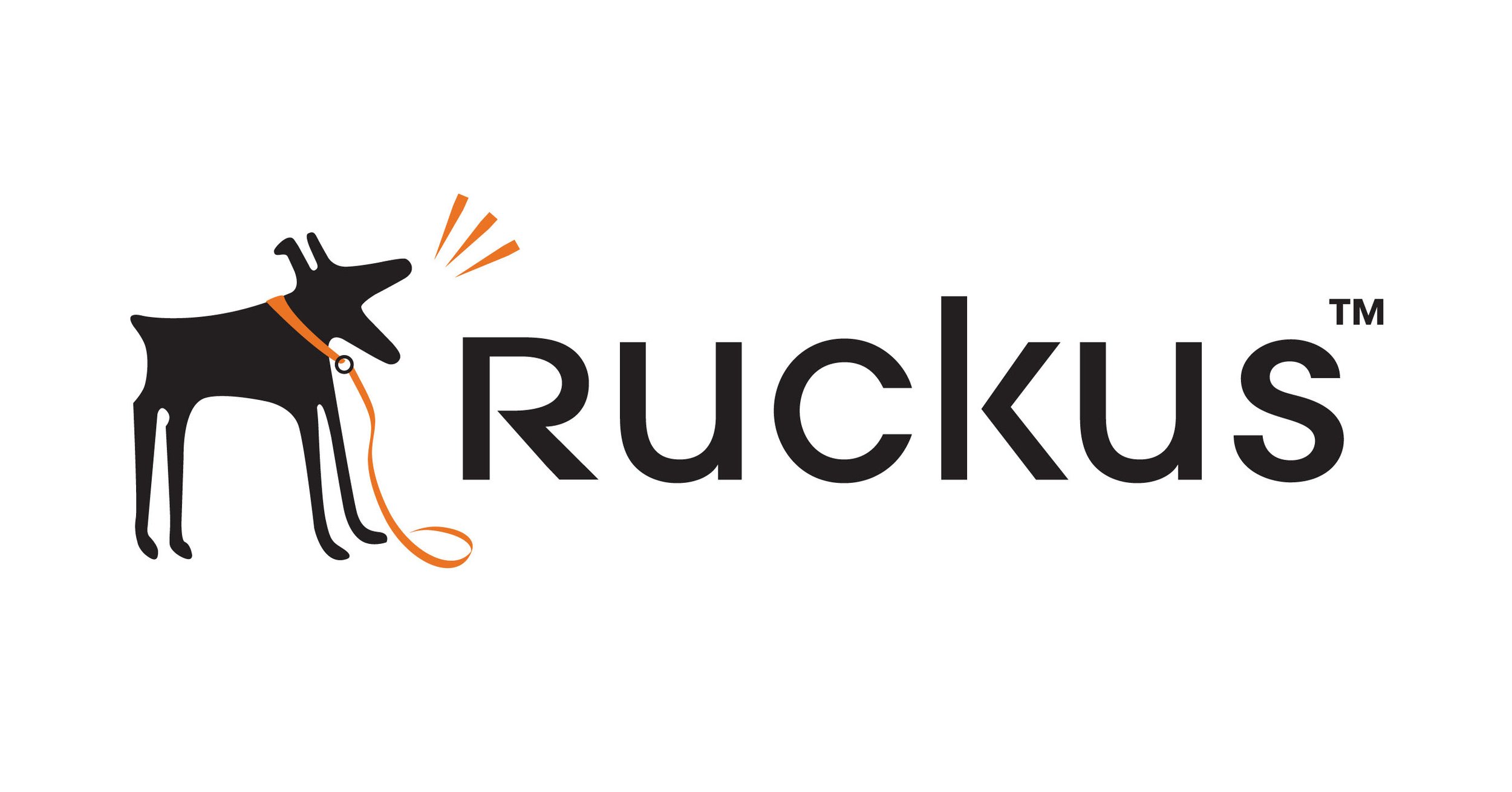 ruckus_wireless_logo.jpg