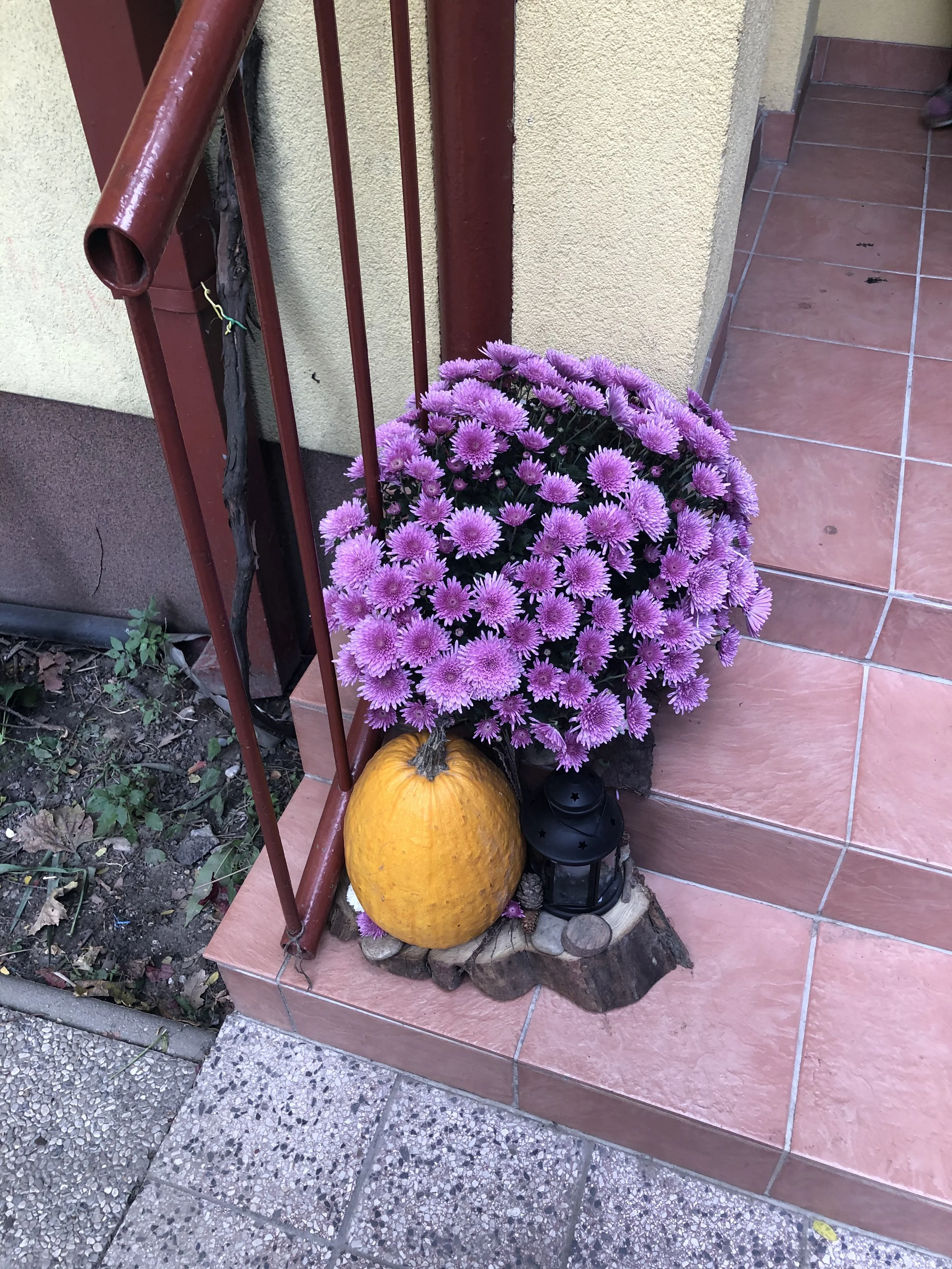 Piatkový blog: Keď sa v DOBROdružstve absolútne nič nedeje..