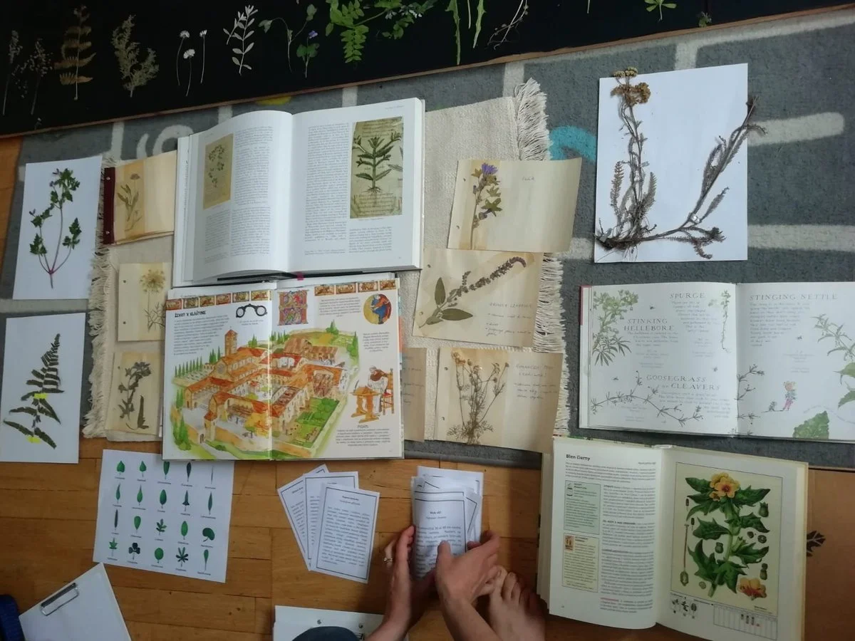Od semienka po herbár - Dobrodružná Botanika