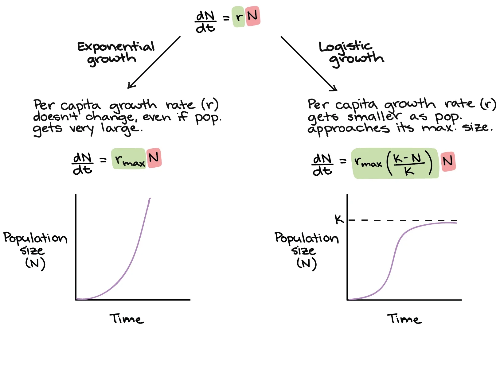 Image credit: Khan Academy - Examples of common population growth curves.
