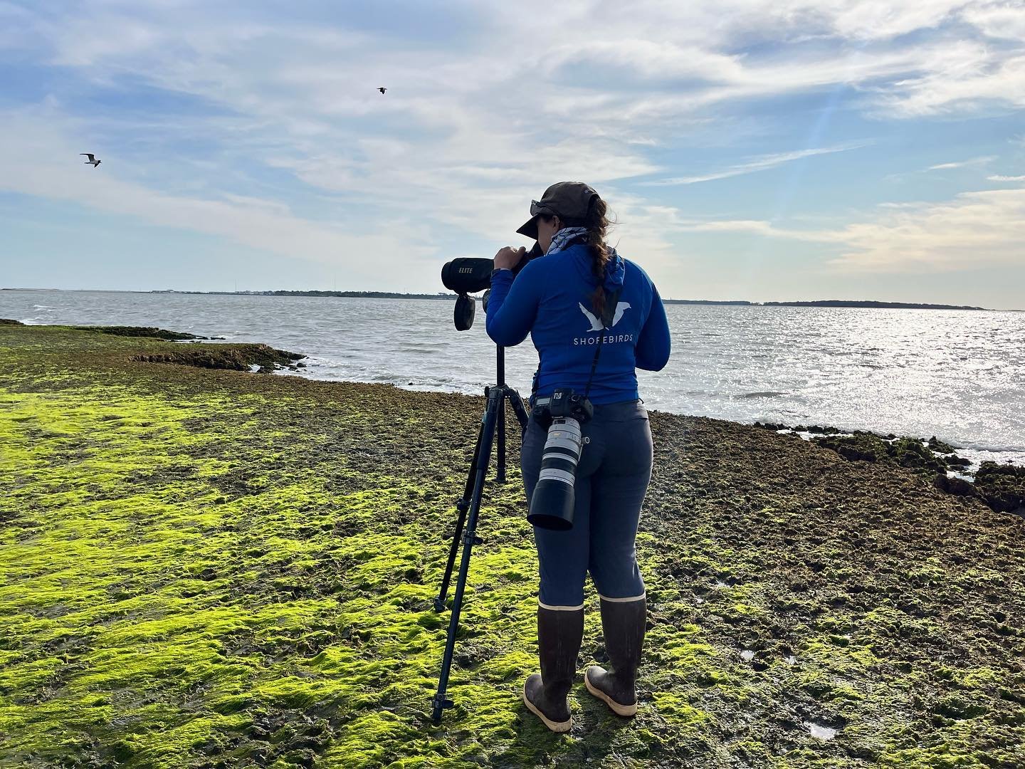 Another year is done for our long-term monitoring of migratory shorebirds during spring migration on the Virginia Coast! 

Our team has been monitoring red knots and other migratory species such as dunlin and sanderling, on the Virginia barrier islan