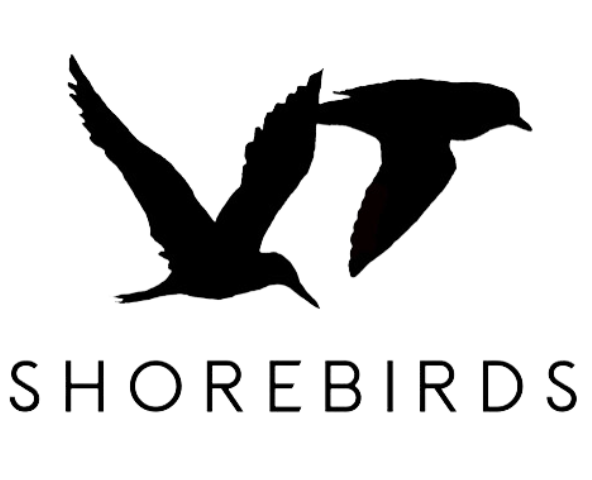 Virginia Tech Shorebird Program