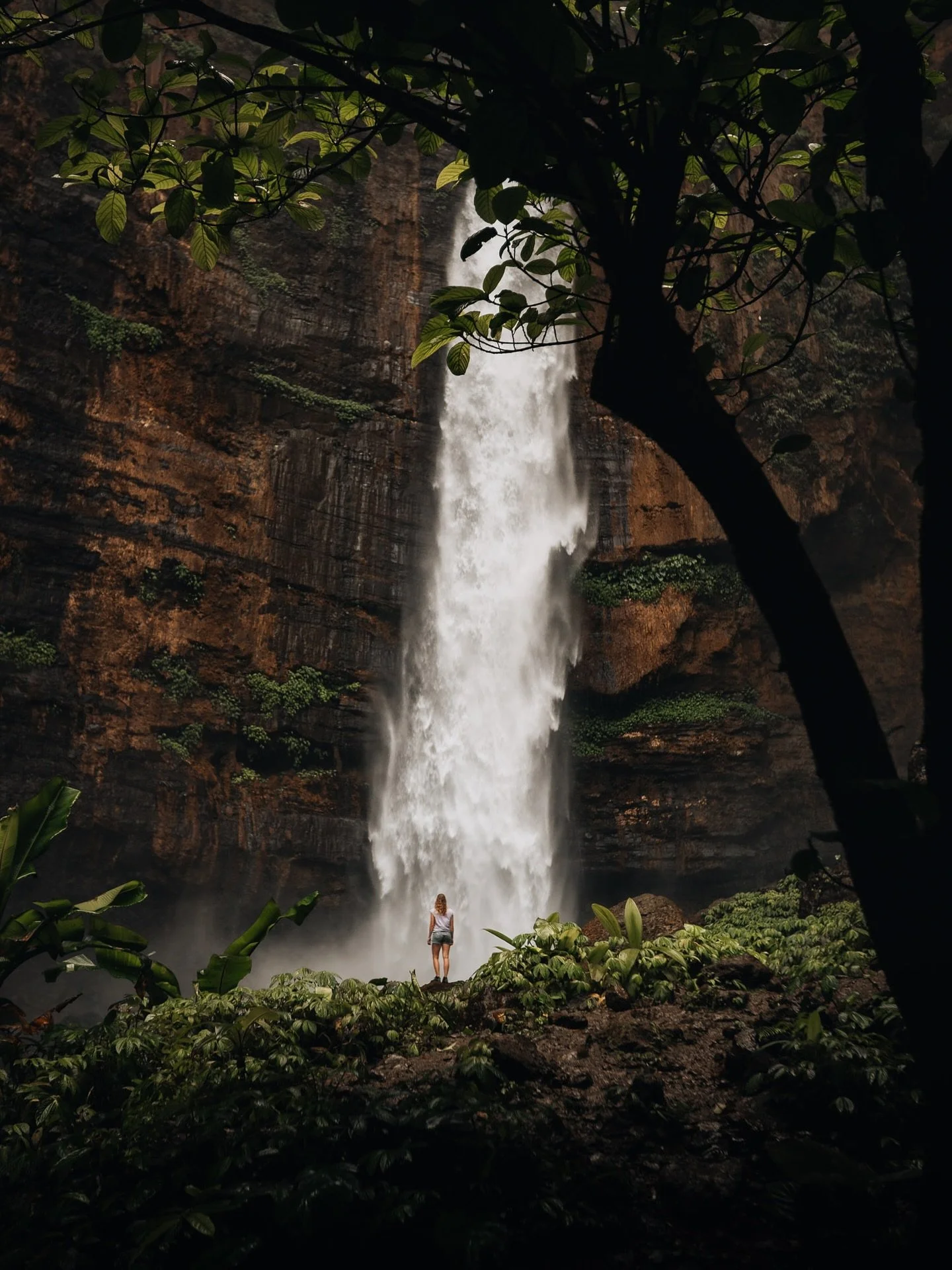 Some more impressions from Indonesia!🌿 Sumatra and East Java, back in 2017/2018! I just realized I never even imported all of these into Lightroom haha. Can you imagine?!

Editing them now feels like reliving the trip all over again. Such a good fee