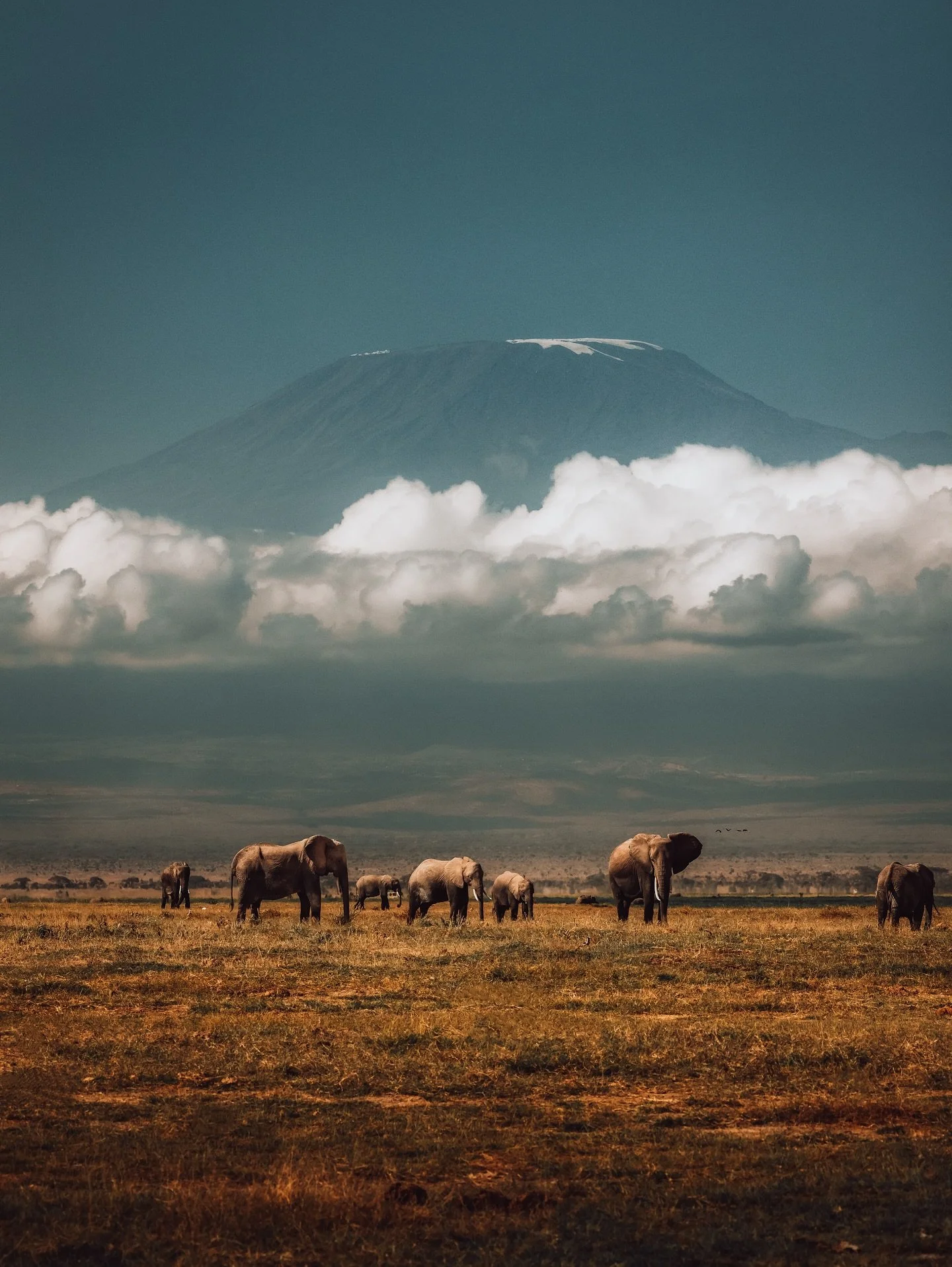 This is really going to happen..

Two years ago, I stood right here. Face to face with Mount Kilimanjaro. That famous sight, with the elephants in the foreground. I remember I was wondering what it would be like to hike all the way to the top. That i