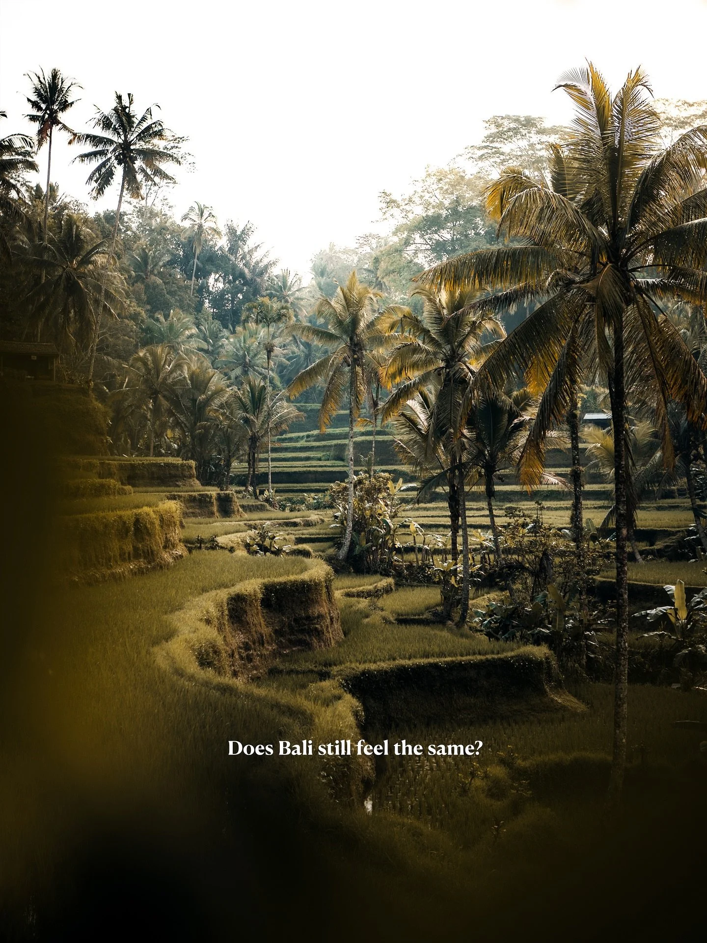 Does it? I hope so! 

Back in 2017 and 2018 I spend 3 months in Indonesia. Exploring Sumatra, Java, Bali, Lombok, Komodo and Nusa Penida. Some places still quite untouched. It&rsquo;s so much fun to dive into my hadddrives to see what I photographed 