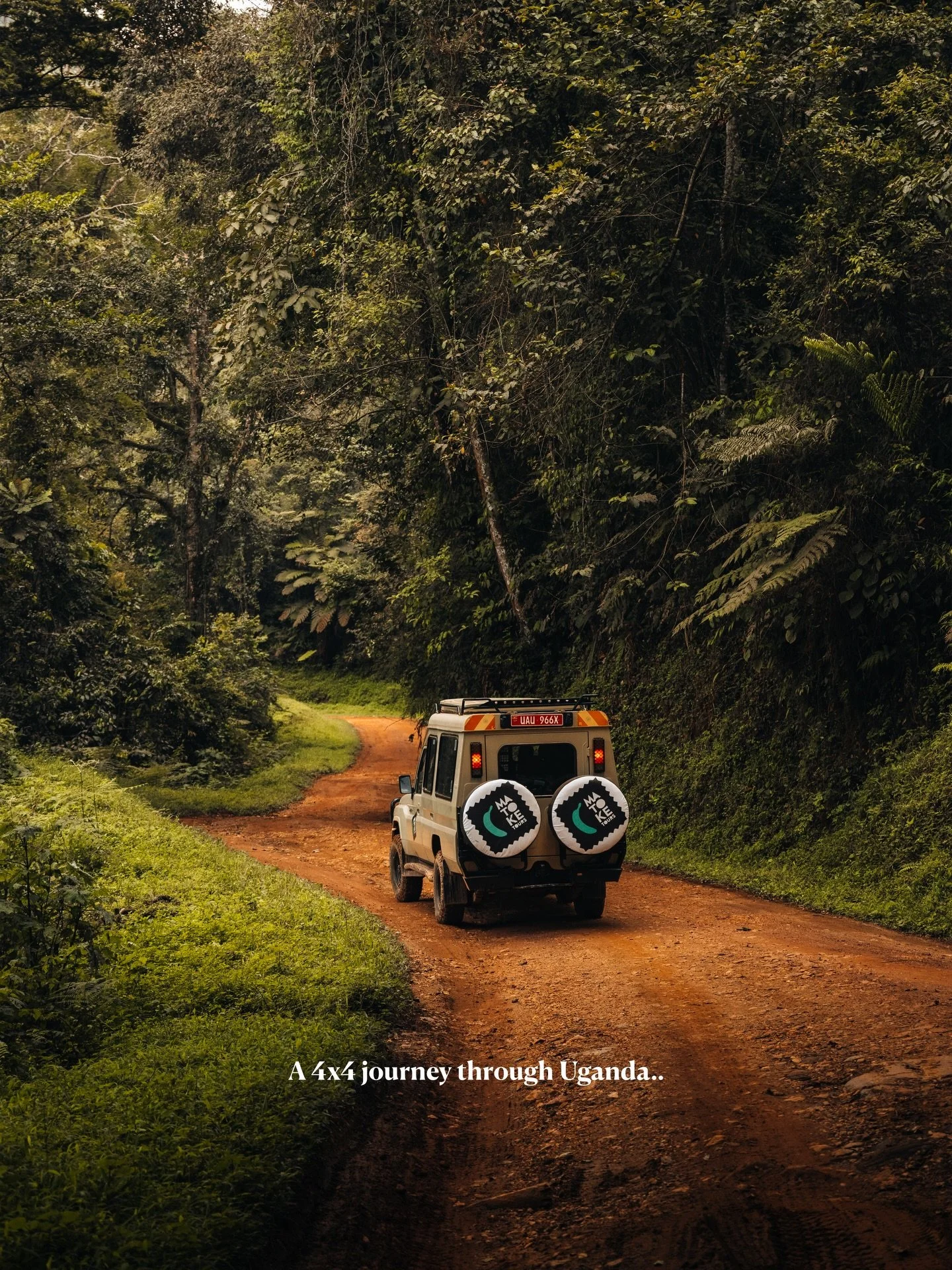 20 photos to convince you to visit Uganda 🇺🇬 The Pearl of Africa. Wildly diverse and unlike anywhere else.

PS. Swipe till the end to see the crazy lens I brought for this trip 📸

#uganda #photography #gorilla #oeganda #africa