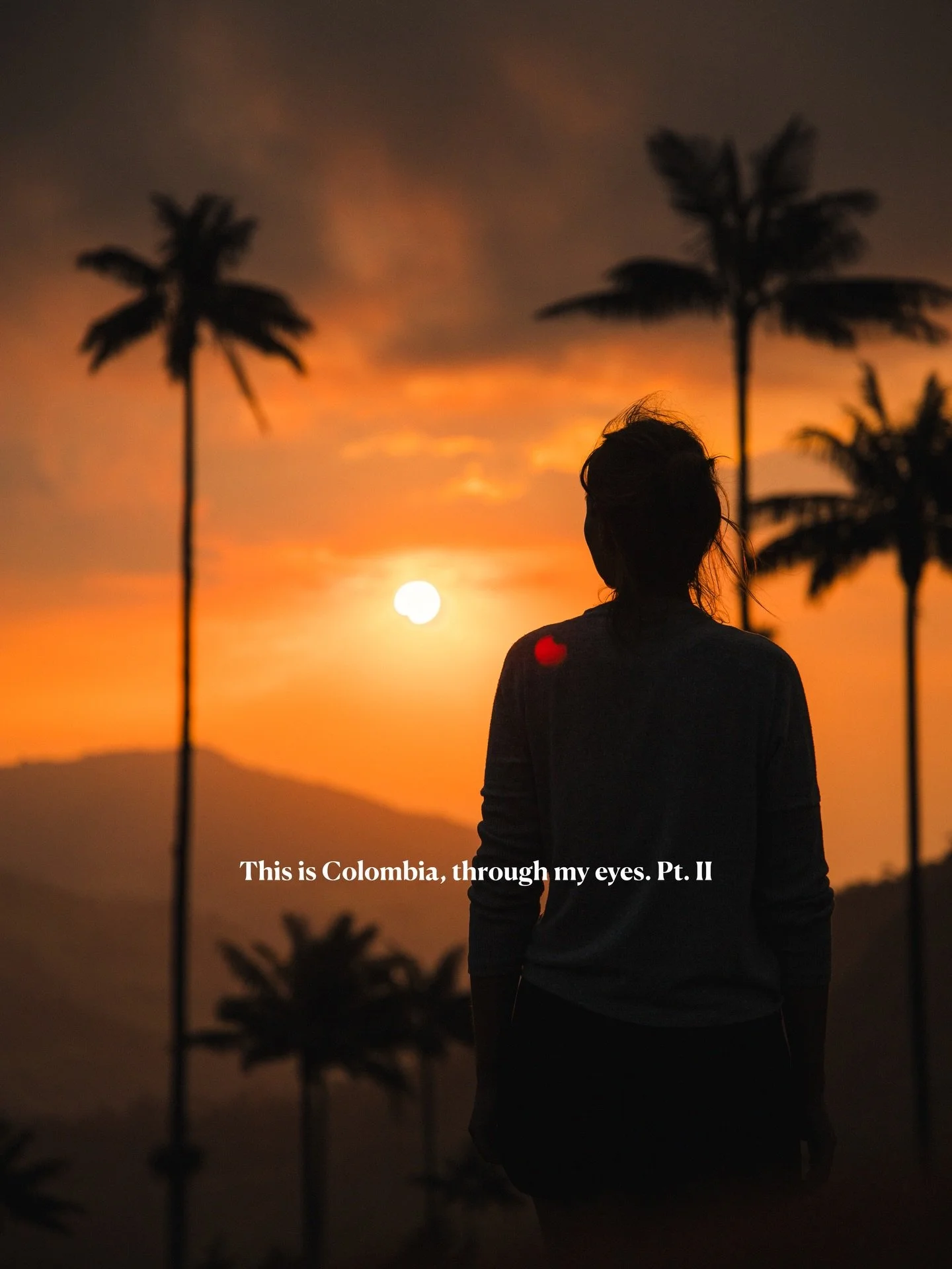 Pt.II Is this the Colombia you&rsquo;d expect? After my previous viral post, I couldn&rsquo;t resist sharing more from this trip. Save these locations for your next visit:

&bull; Palm Trees in Salento
&bull; ⁠Tatacoa Desert
&bull; ⁠Medellin
&bull; J