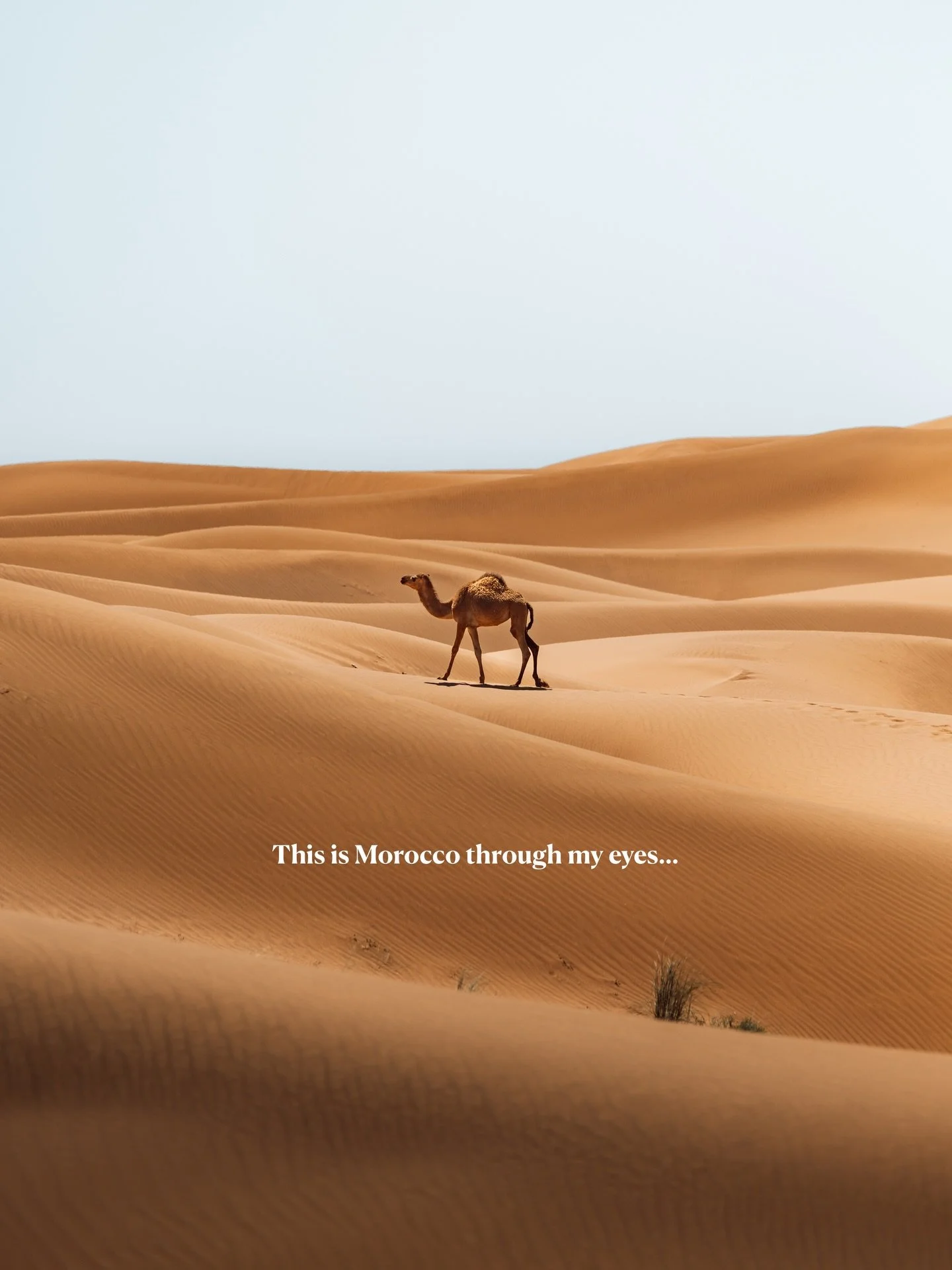 Have you been? My experience: 

This was actually our first trip with Bo. She was 9 months old.
And honestly, Morocco felt like the perfect family destination.

You&rsquo;ll find everything here:
&bull; busy souk markets
&bull; the Atlas Mountains (T