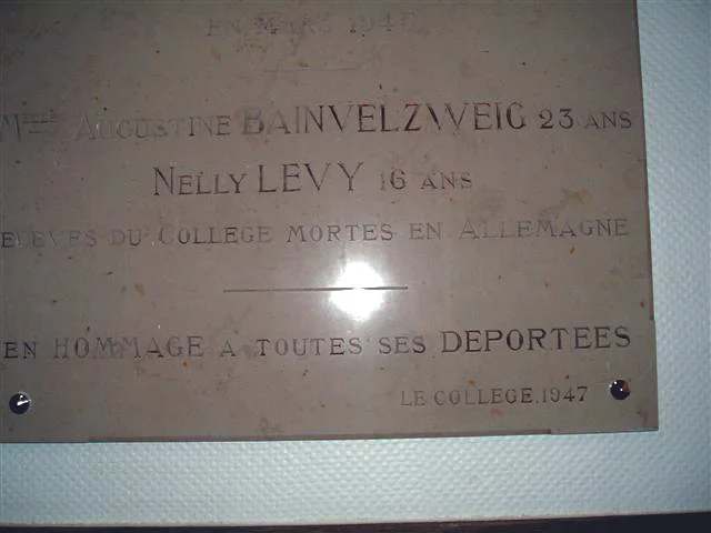 Levy / Lyon