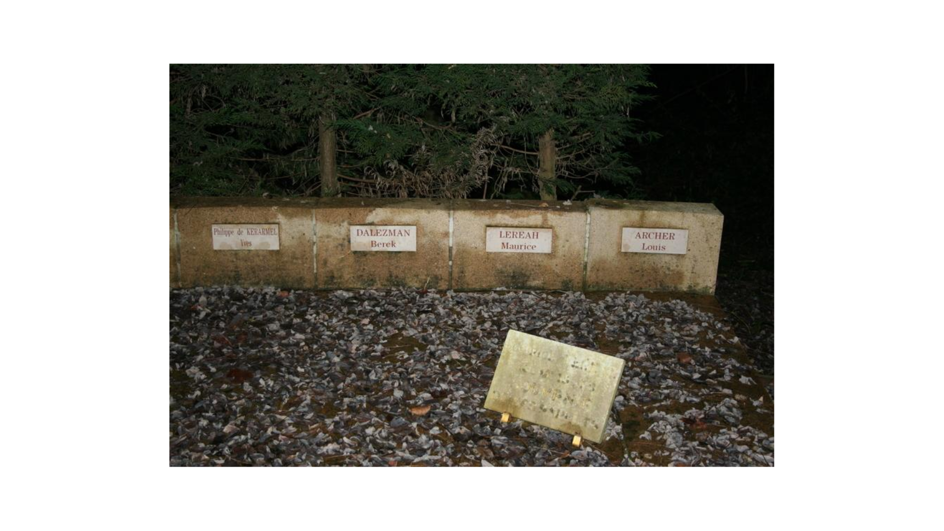 Maurive Lereah Monument au morts Chatillon d'Azergues