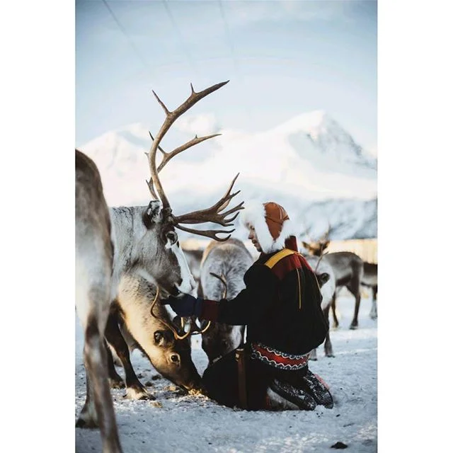 Sami Arctic Cruise in Norway 5.jpg
