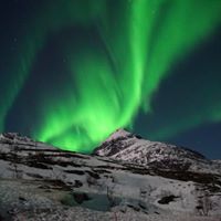 Arctic X  - Tesla Northern Lights 3.jpg