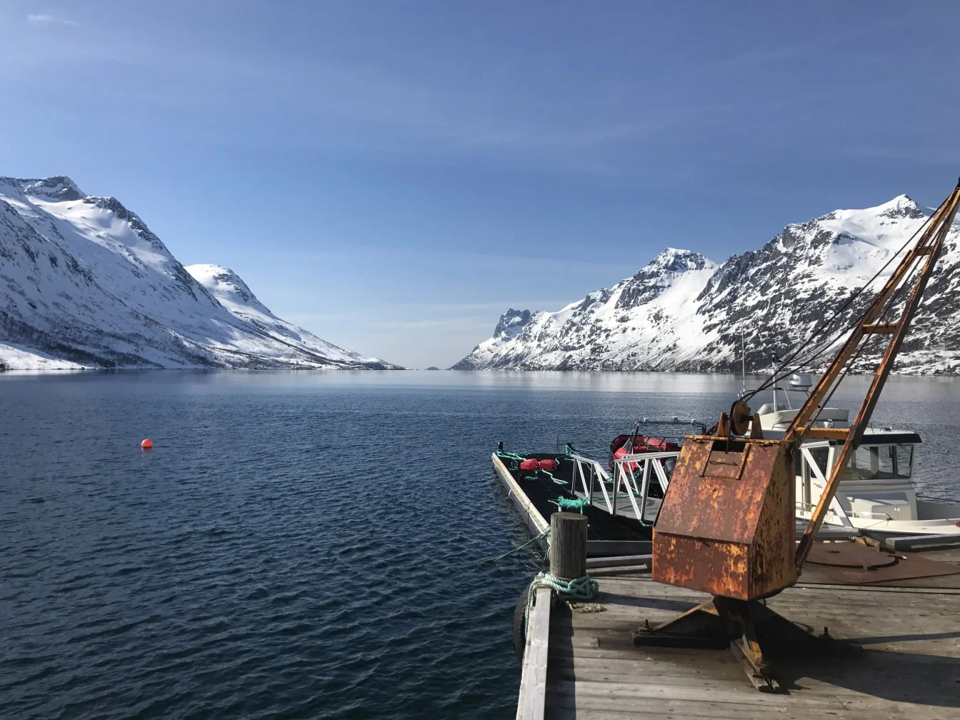 Arctic X - Fordsightseeing II.jpg