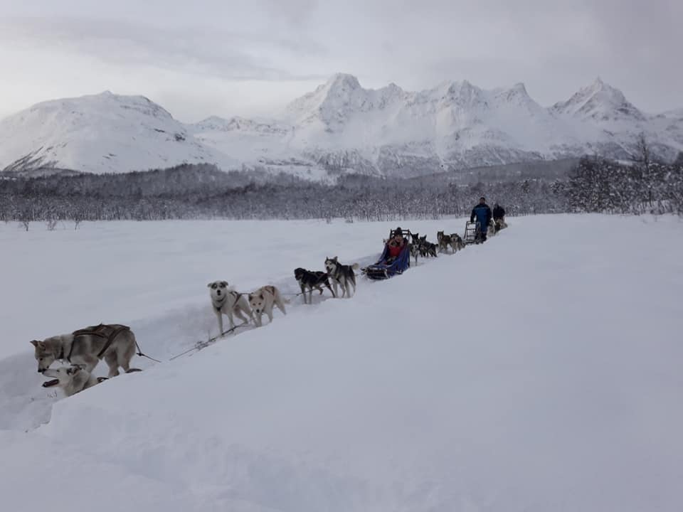Dog sledding Arctic Cruie In Norway 6.jpg