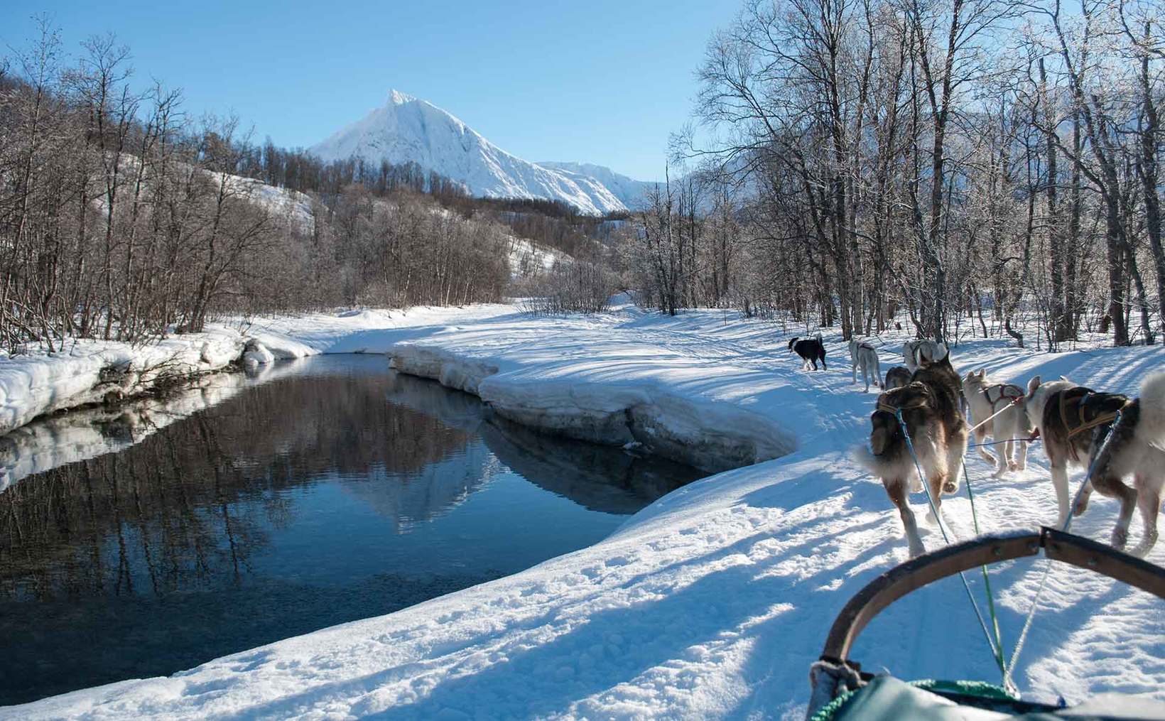 Dog sledding Arctic Cruie In Norway 9.jpg