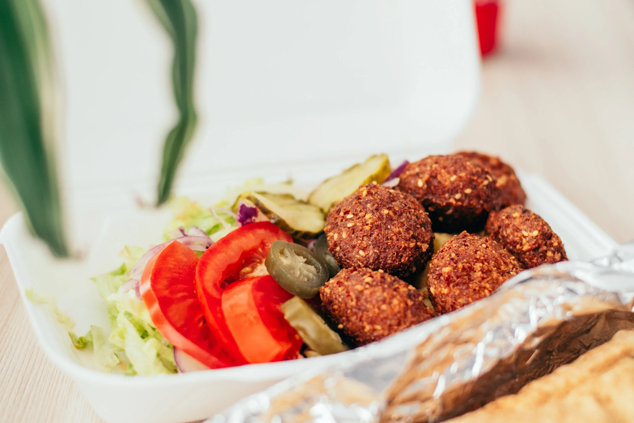 fava bean falafel