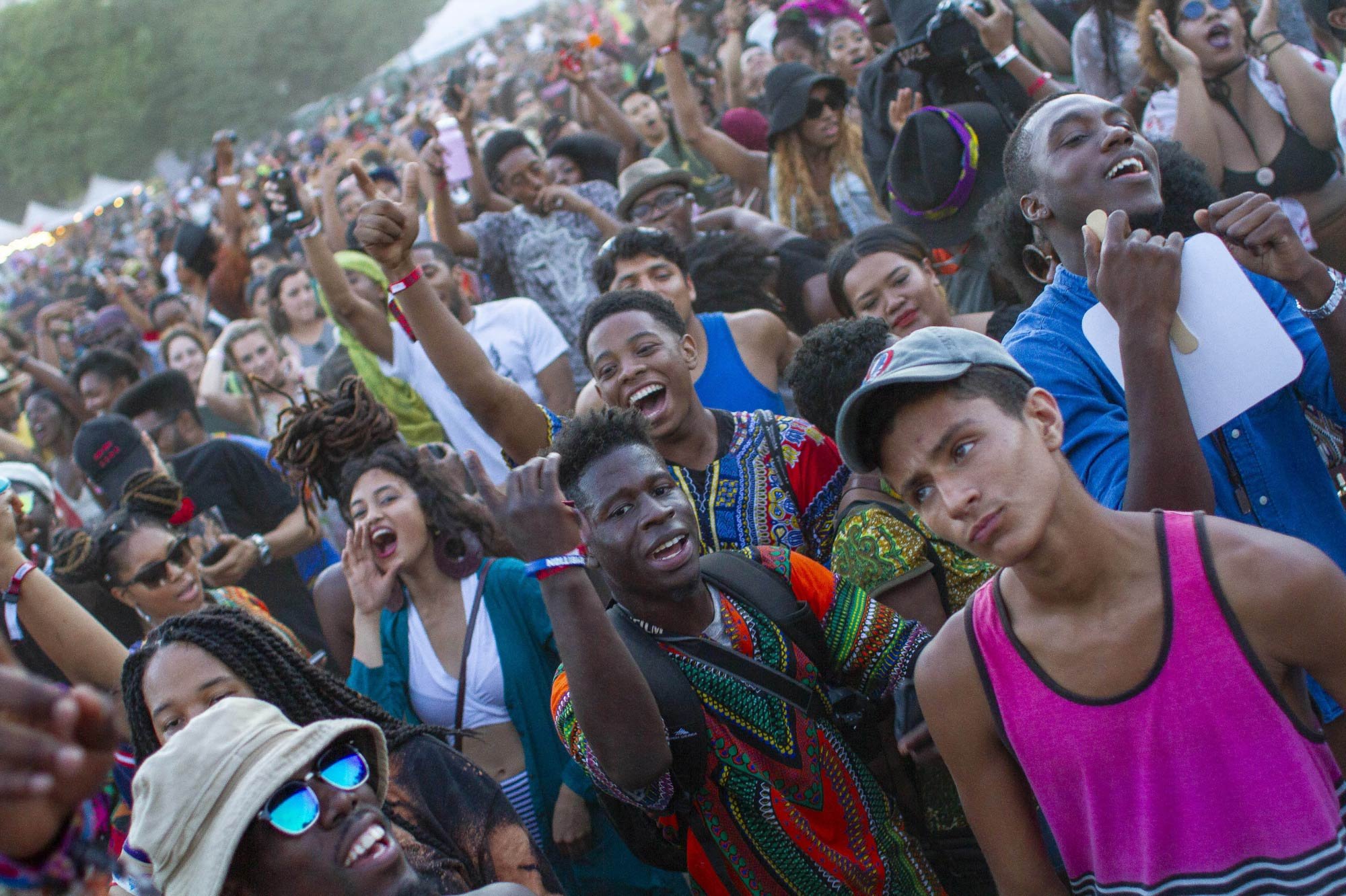 Crowd of people enjoying a music festival outdoors, showing excitement and energy.