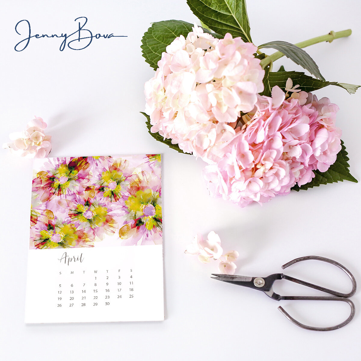 Jenny Bova calendar April hydrangea shot branded.jpg