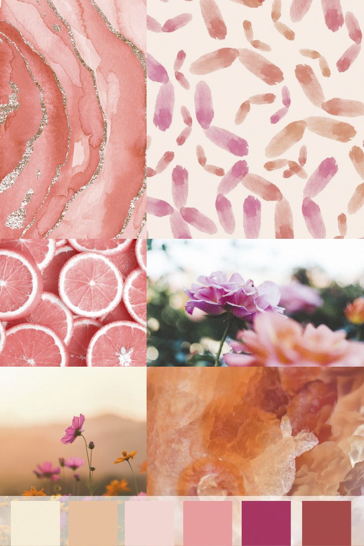 mood board with pink and orange images. A coral watercolor with gold stripes, Jenny Bova surface pattern design, grapefruit, flowers, and abstracted crystals. At the bottom are color blocks pulling colors from all of the images